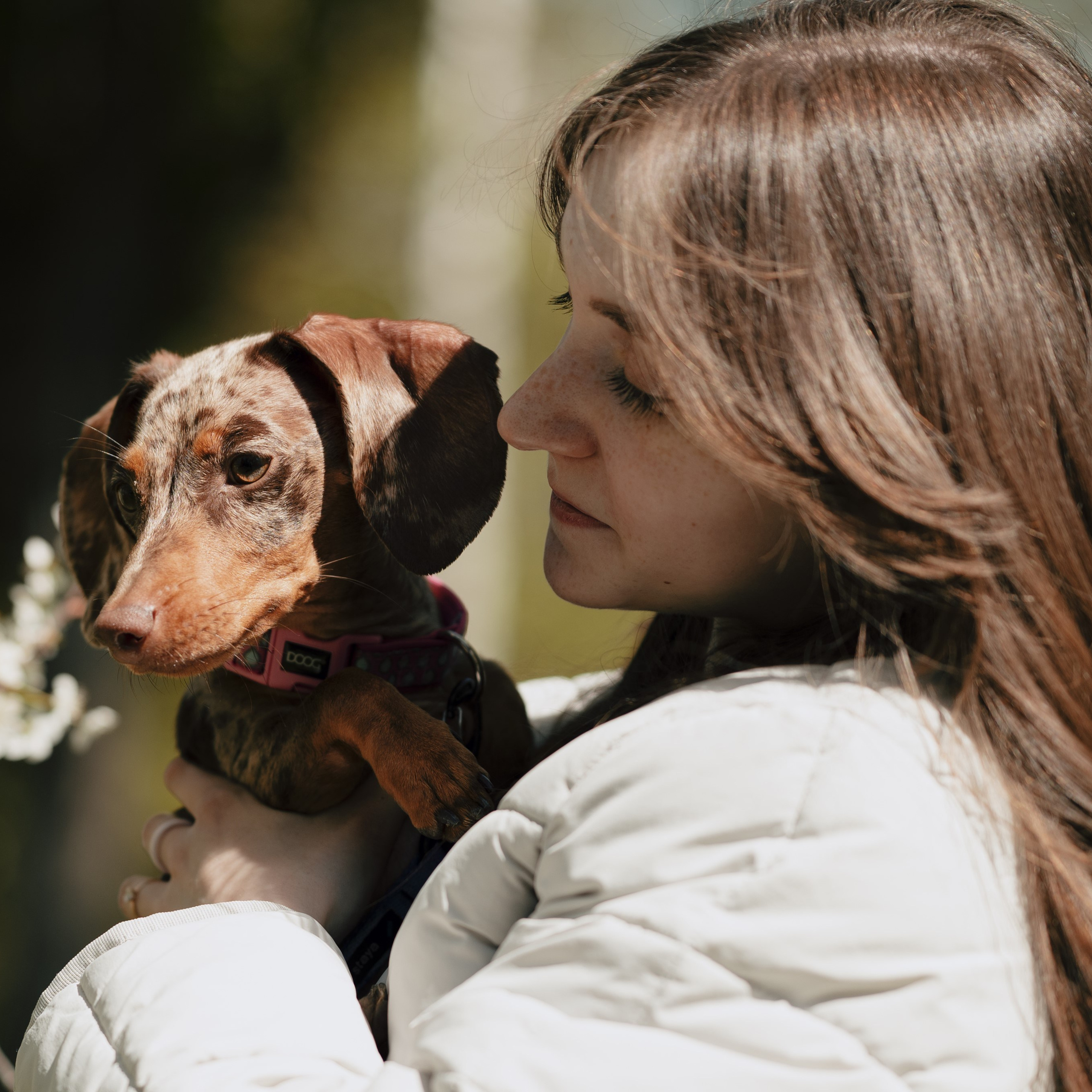 Отзывы. Фотограф- анималист Александра Матвеева