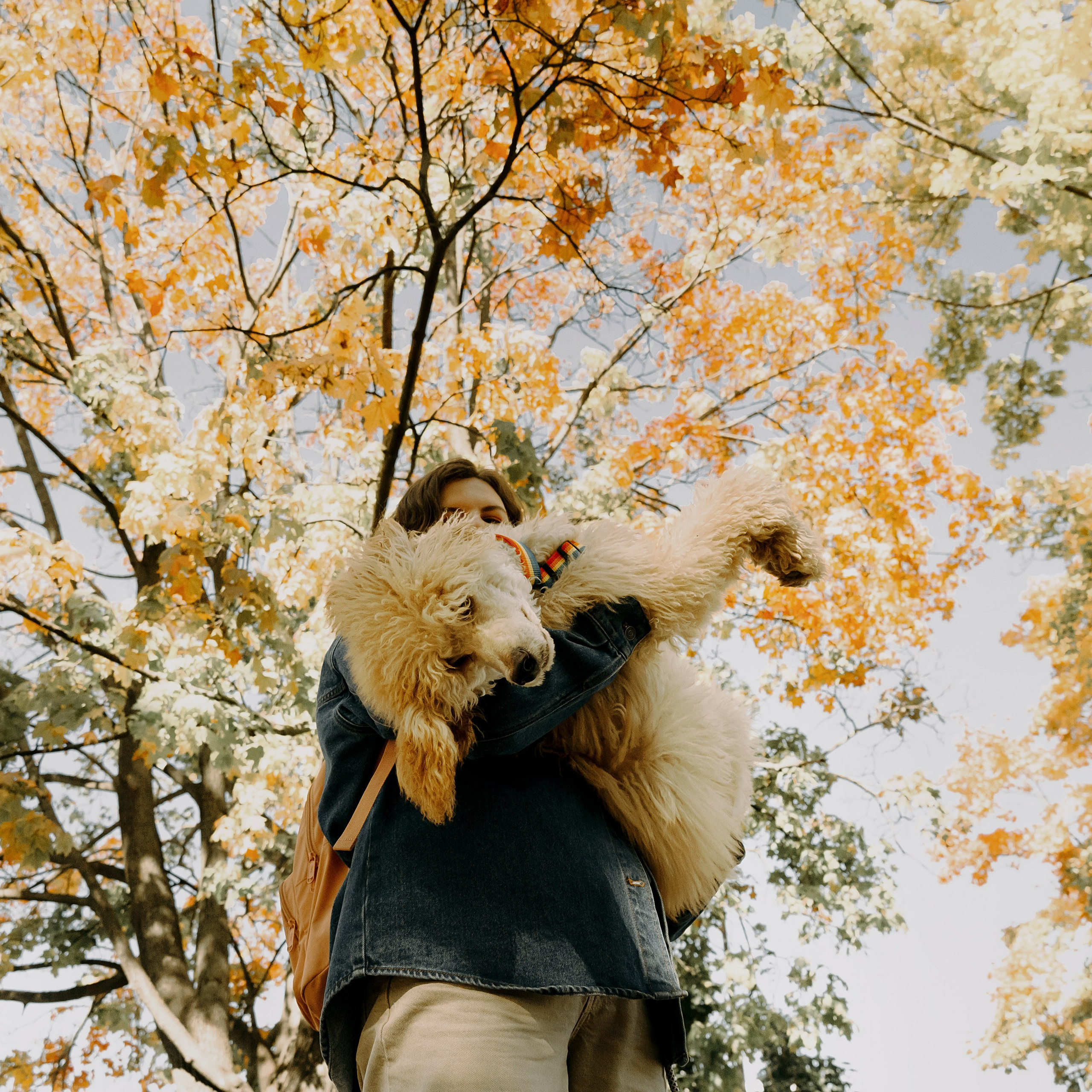 Отзывы. Фотограф- анималист Александра Матвеева