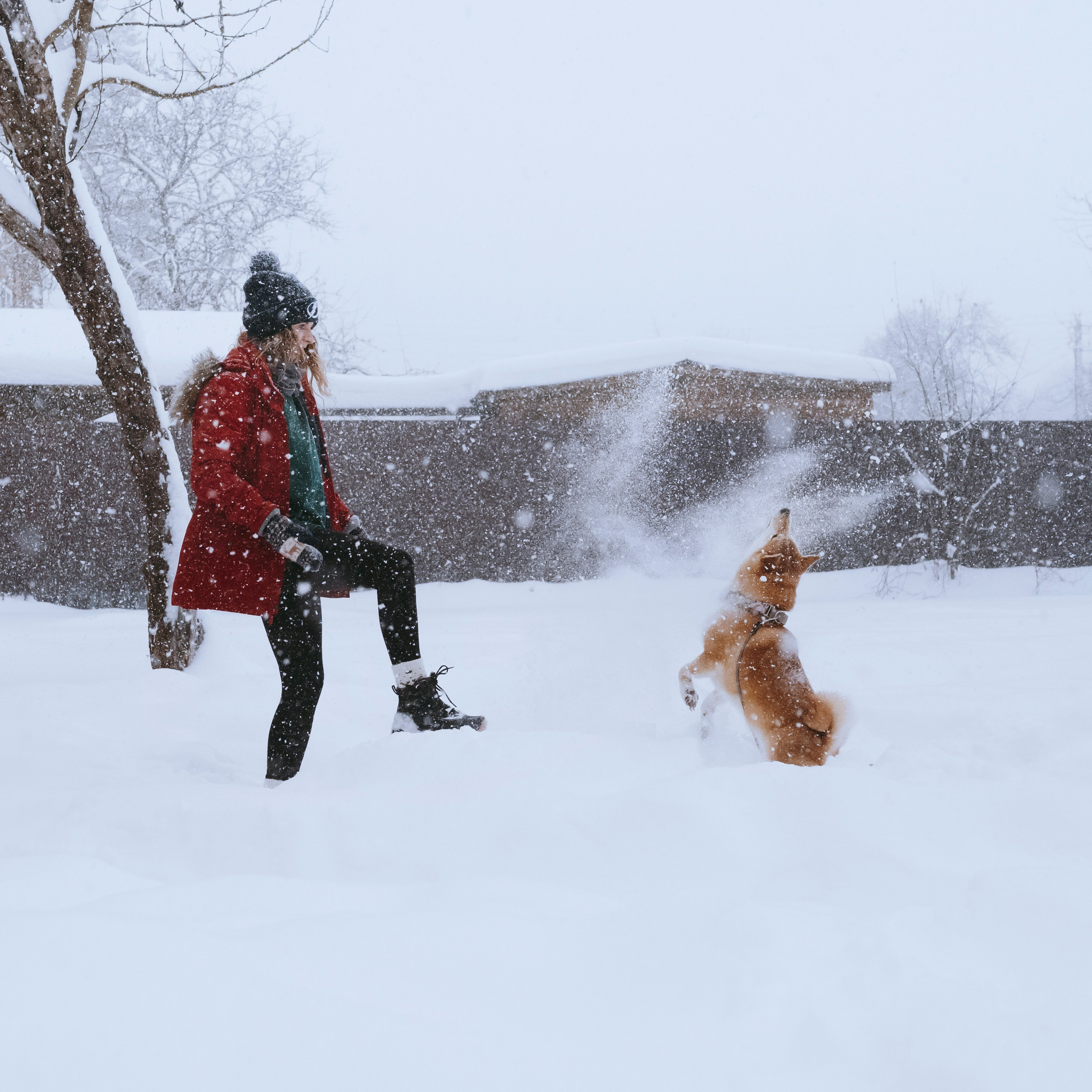 Отзывы. Фотограф- анималист Александра Матвеева