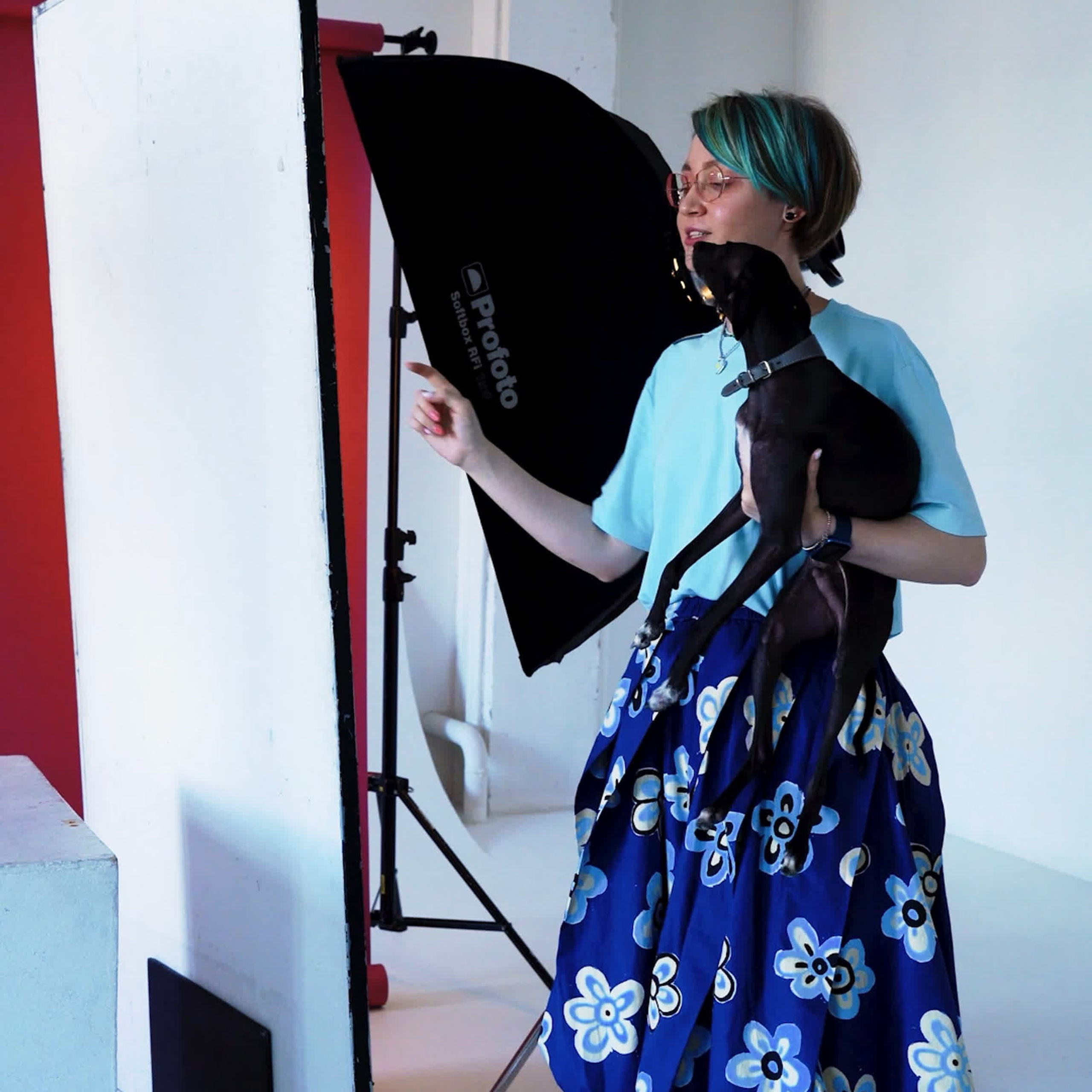 Видеоурок «Снимаем животных вместе»