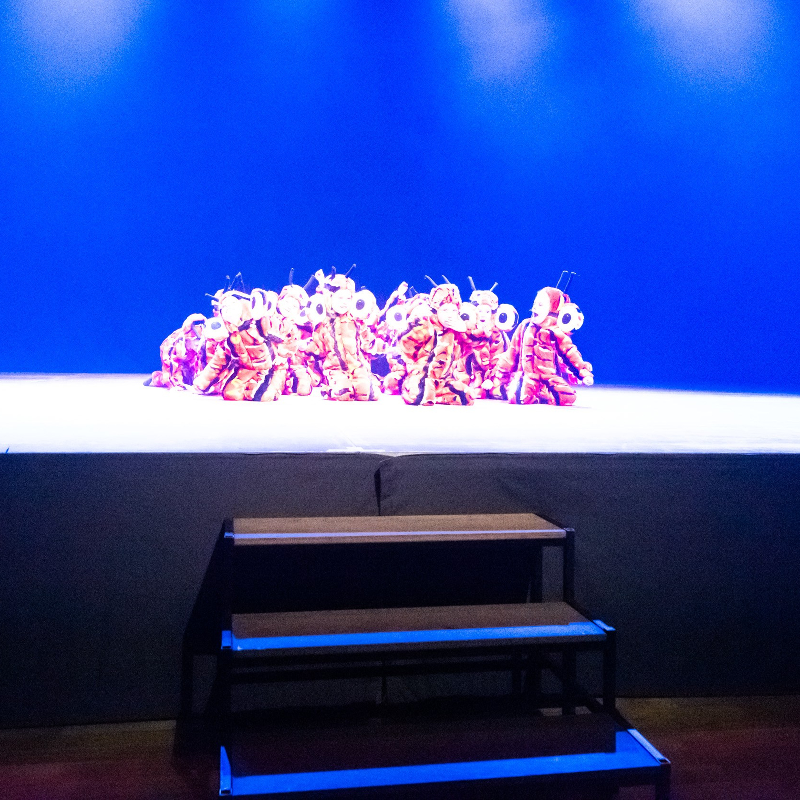 ИЮЛЬ 2019. Взгляд через объектив