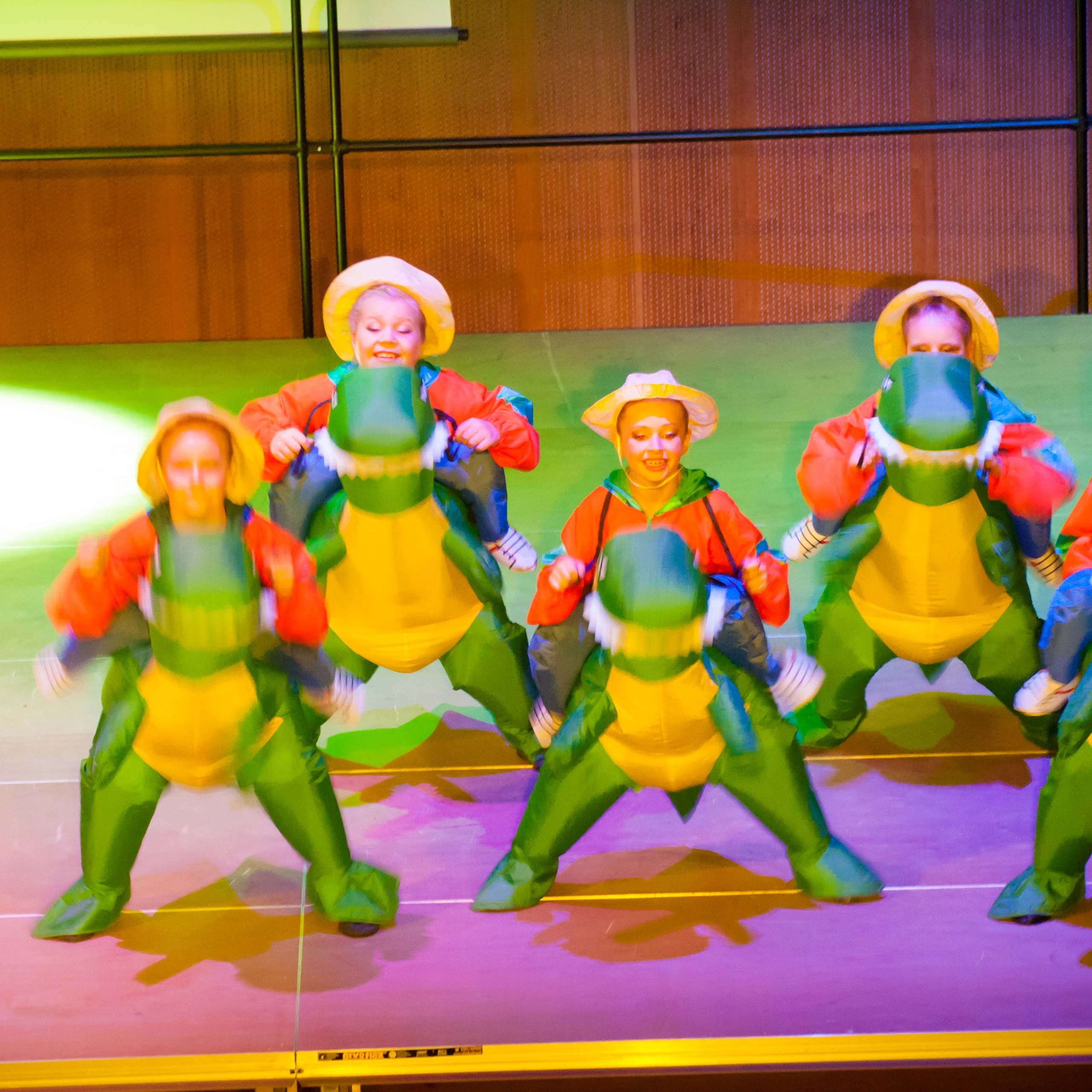 ИЮНЬ 2017 (Концерт + Мятлево). Взгляд через объектив