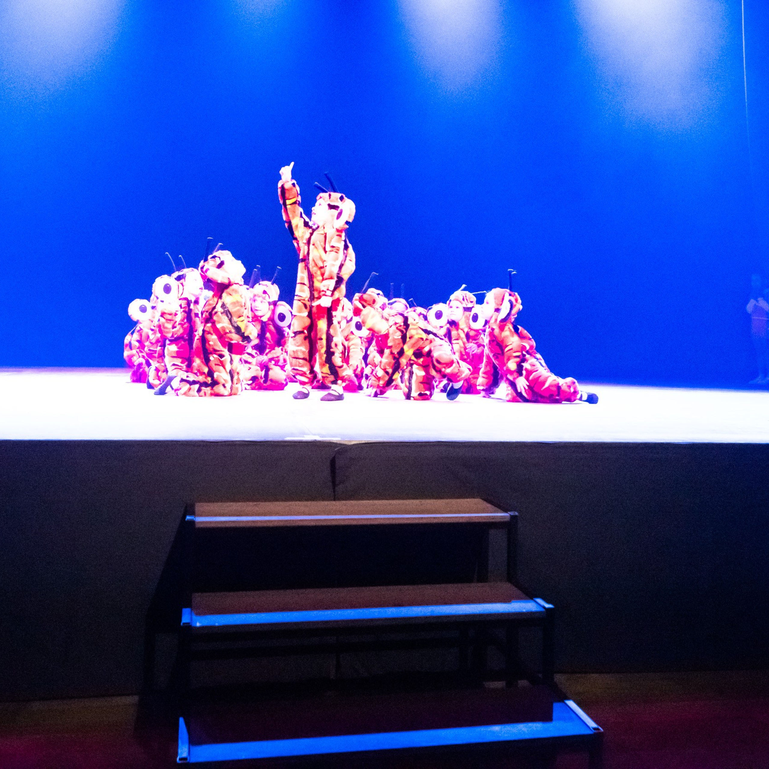 ИЮЛЬ 2019. Взгляд через объектив