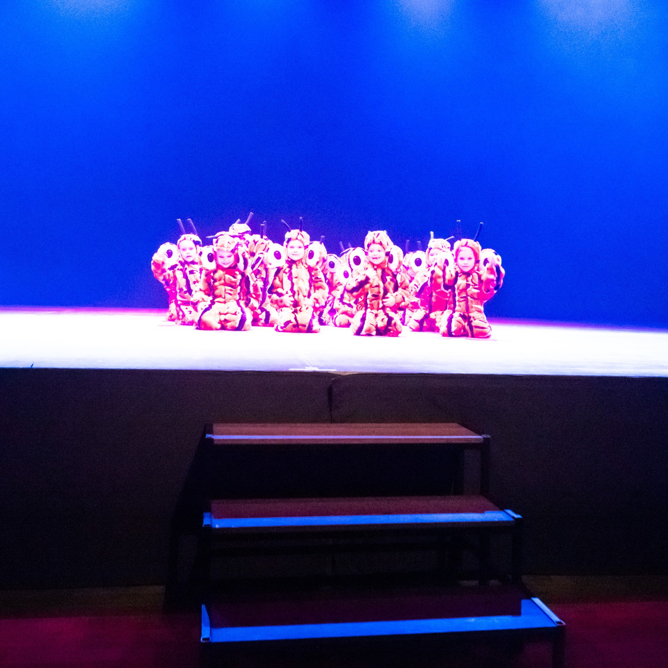 ИЮЛЬ 2019. Взгляд через объектив