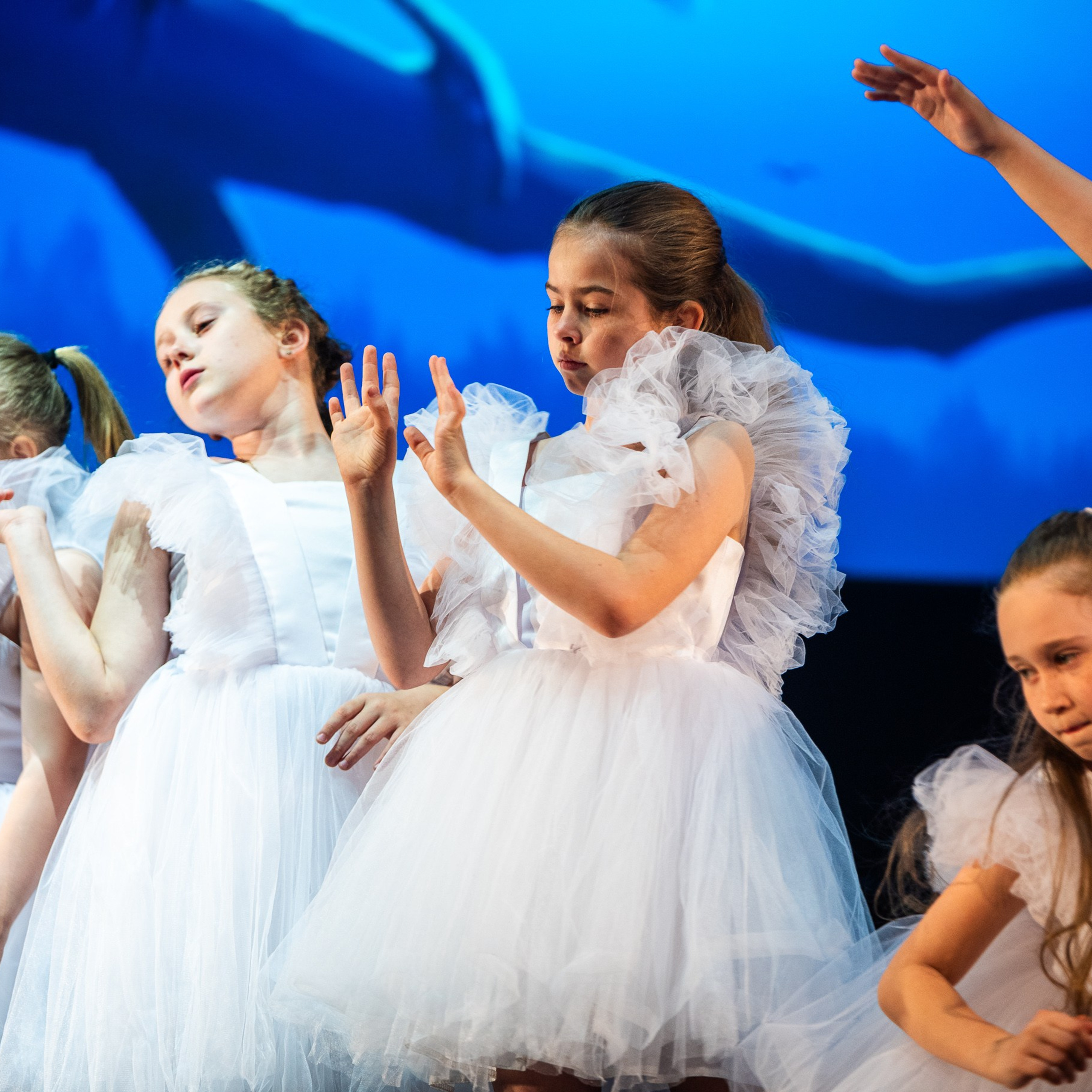 30 мая 2025. Взгляд через объектив