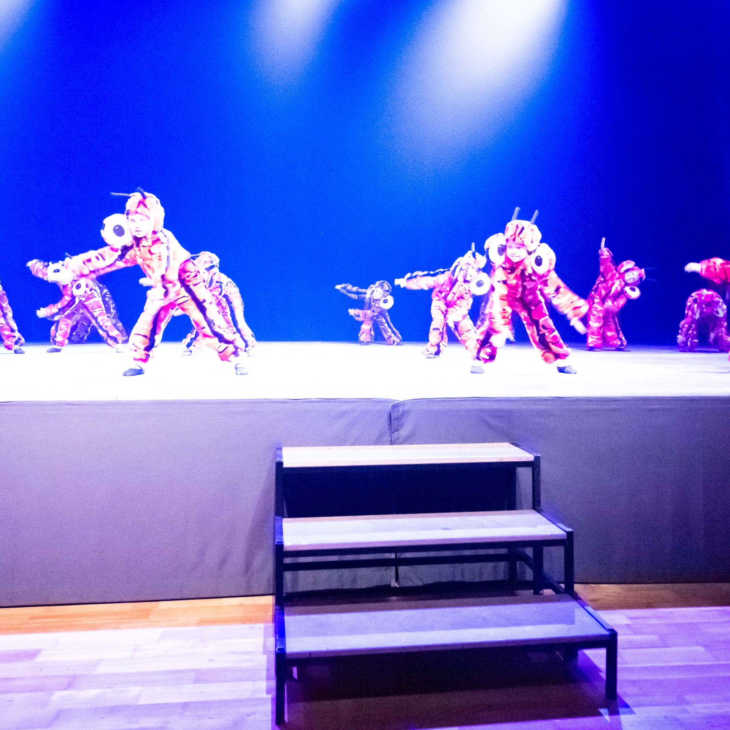 ИЮЛЬ 2019. Взгляд через объектив