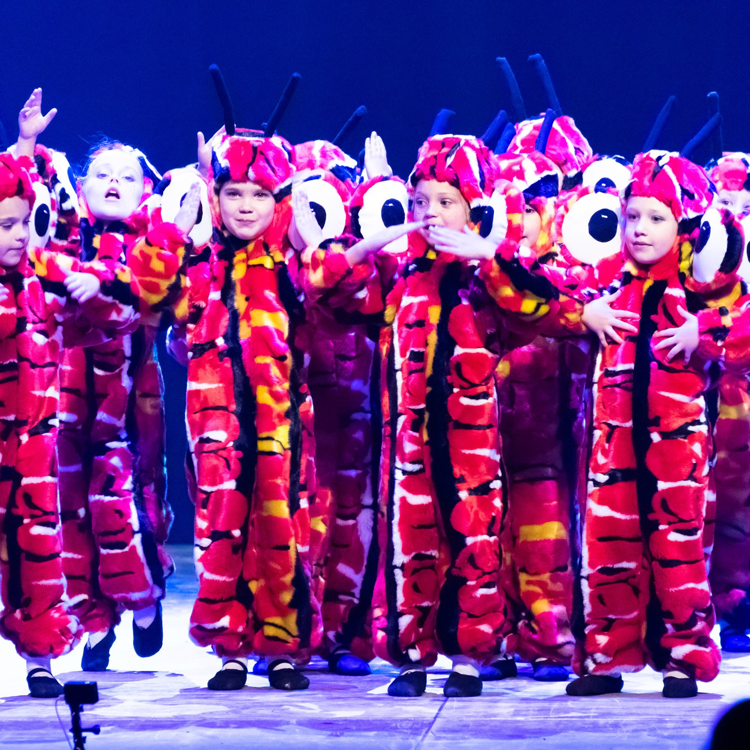 ИЮЛЬ 2019. Взгляд через объектив