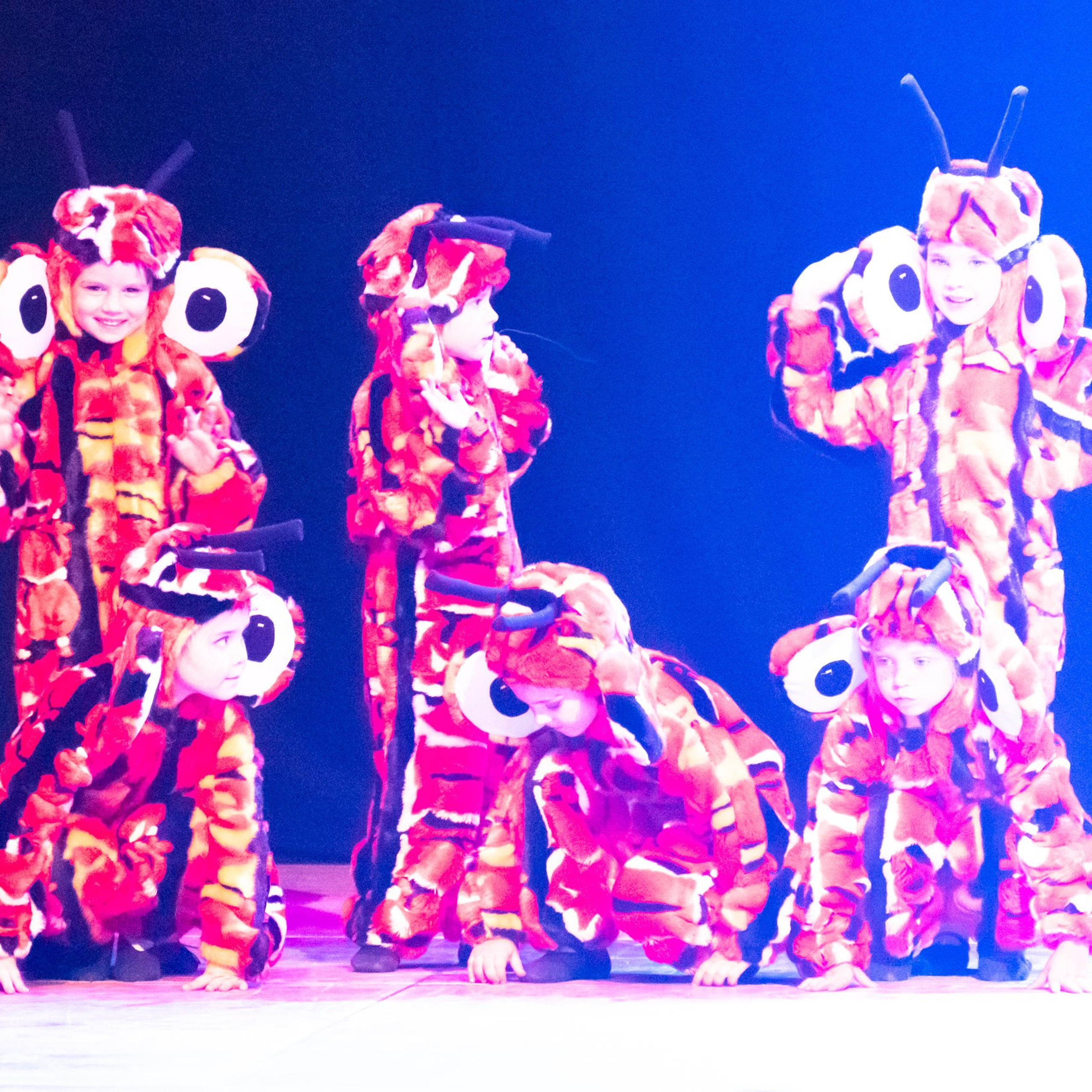 ИЮЛЬ 2019. Взгляд через объектив