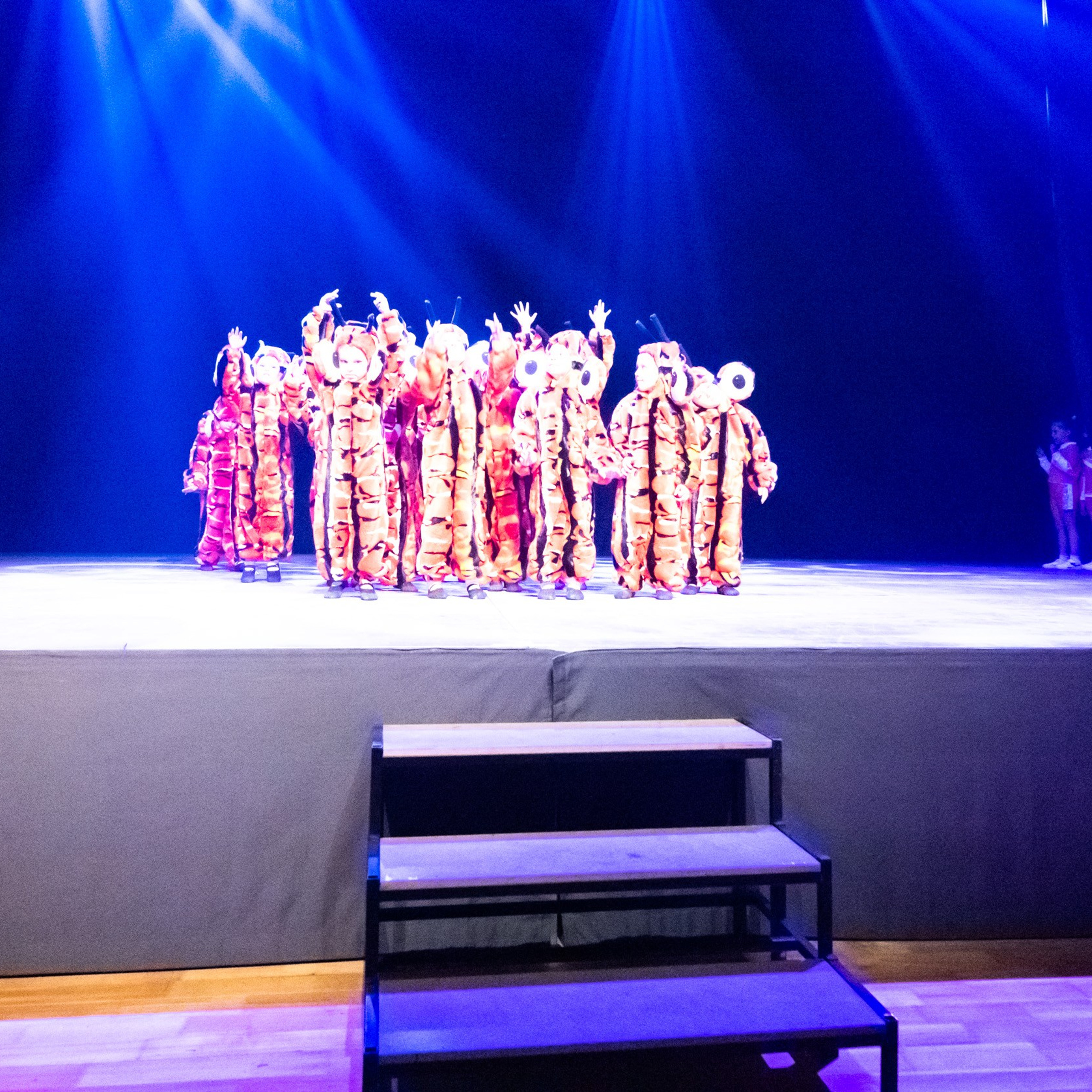 ИЮЛЬ 2019. Взгляд через объектив