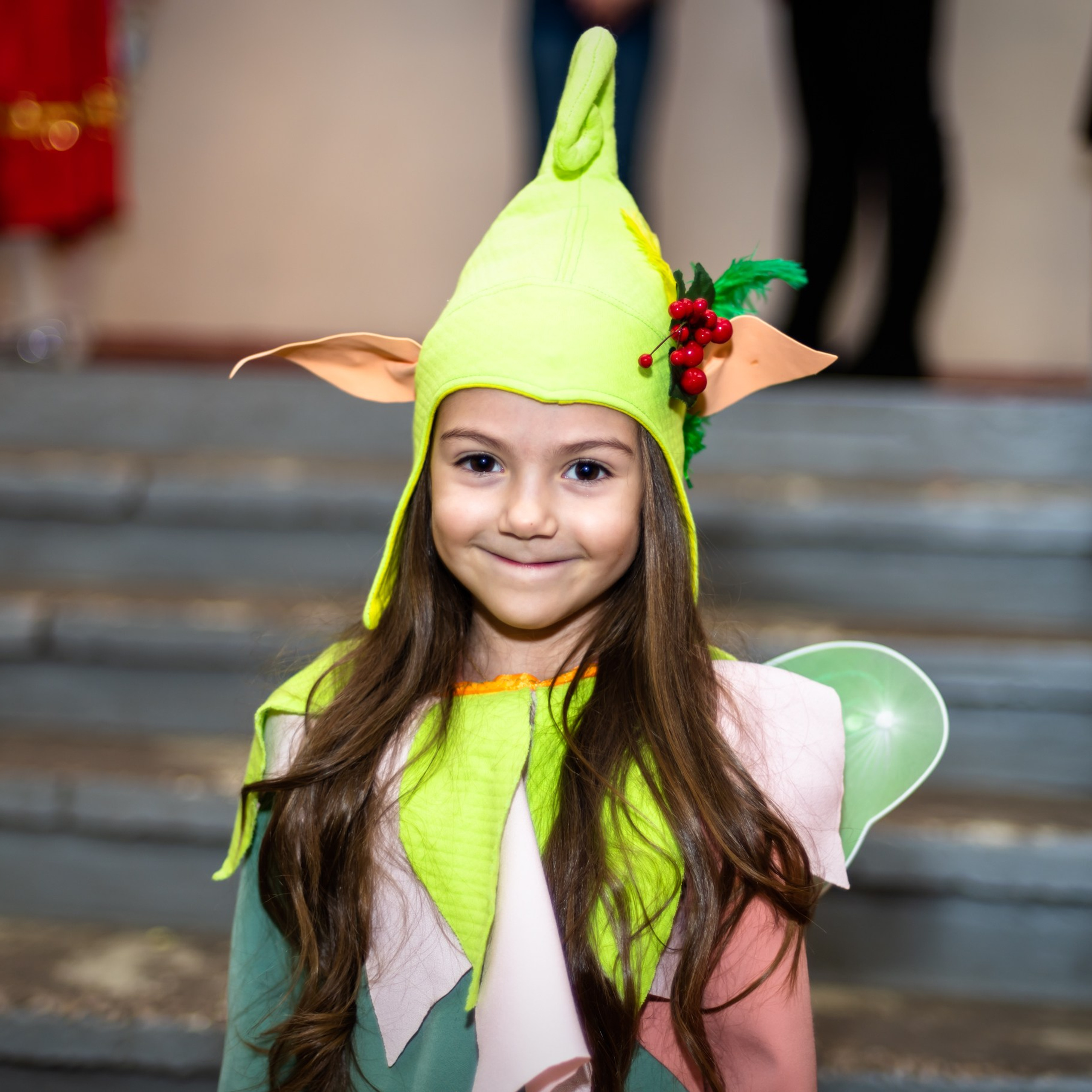 ДЕКАБРЬ 2018 (Новый Год). Взгляд через объектив