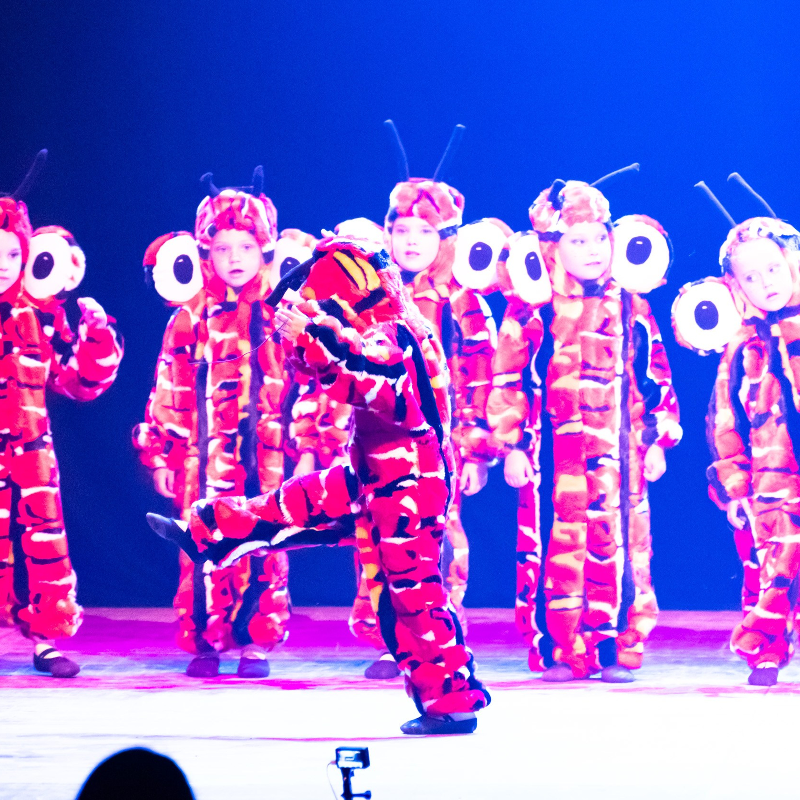 ИЮЛЬ 2019. Взгляд через объектив