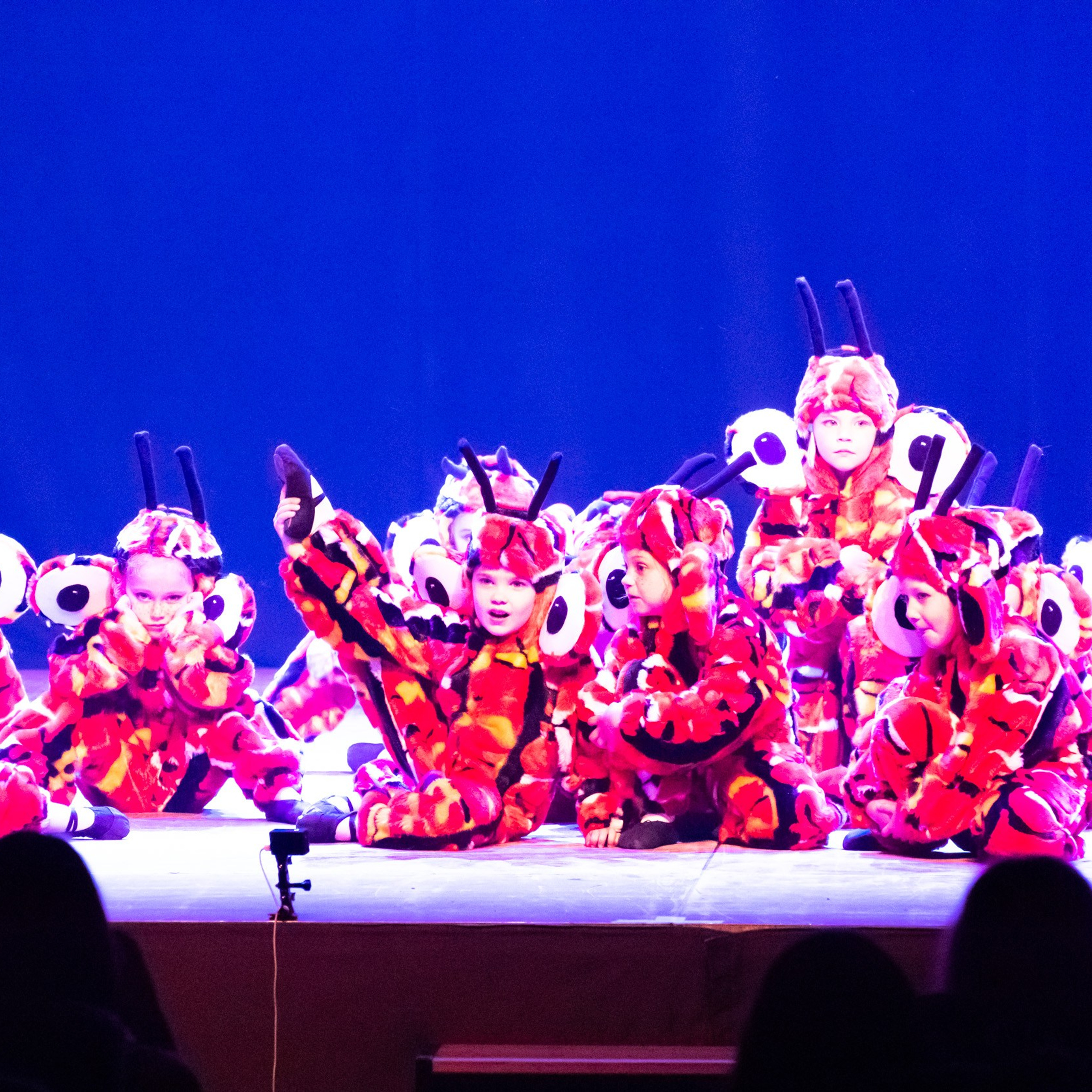 ИЮЛЬ 2019. Взгляд через объектив