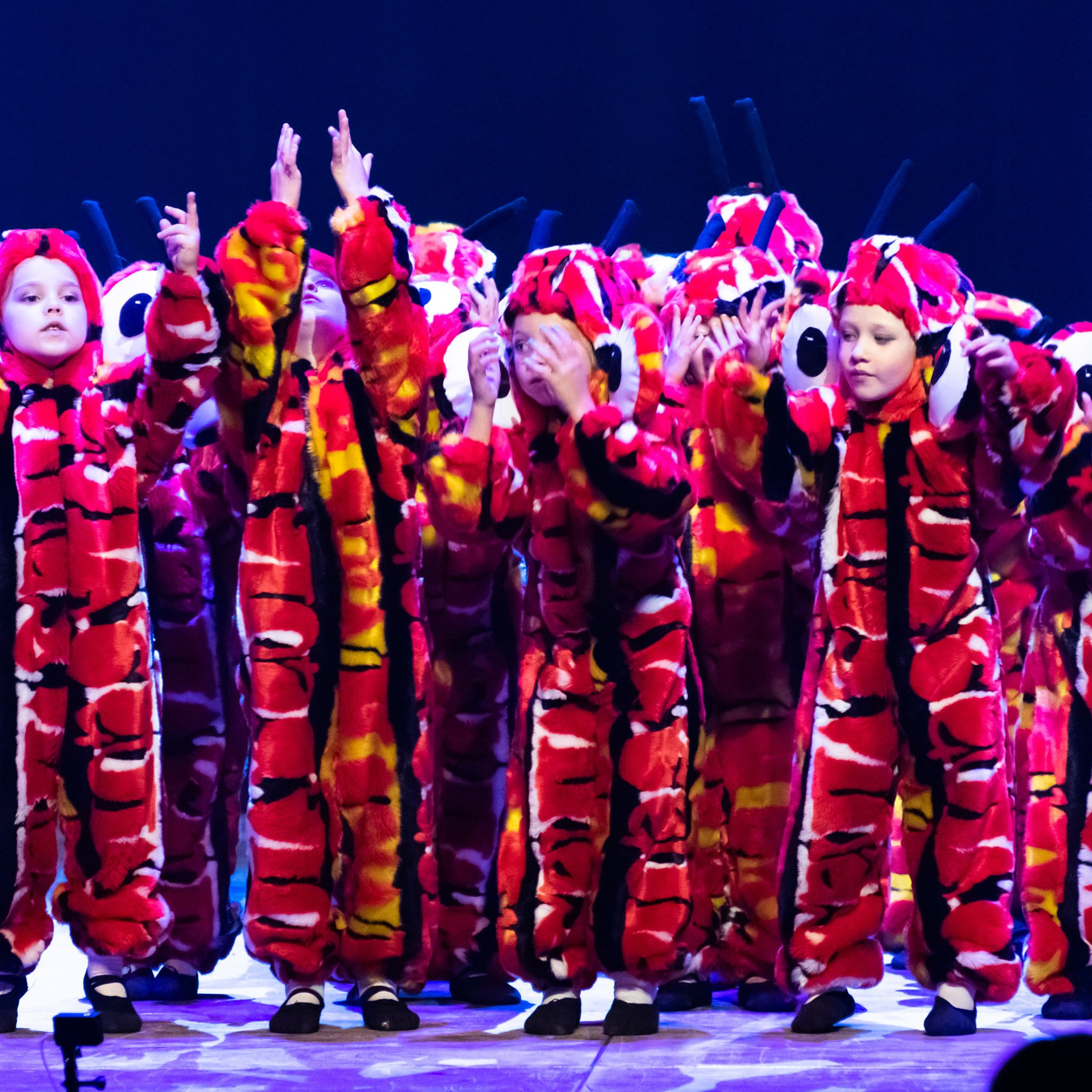 ИЮЛЬ 2019. Взгляд через объектив