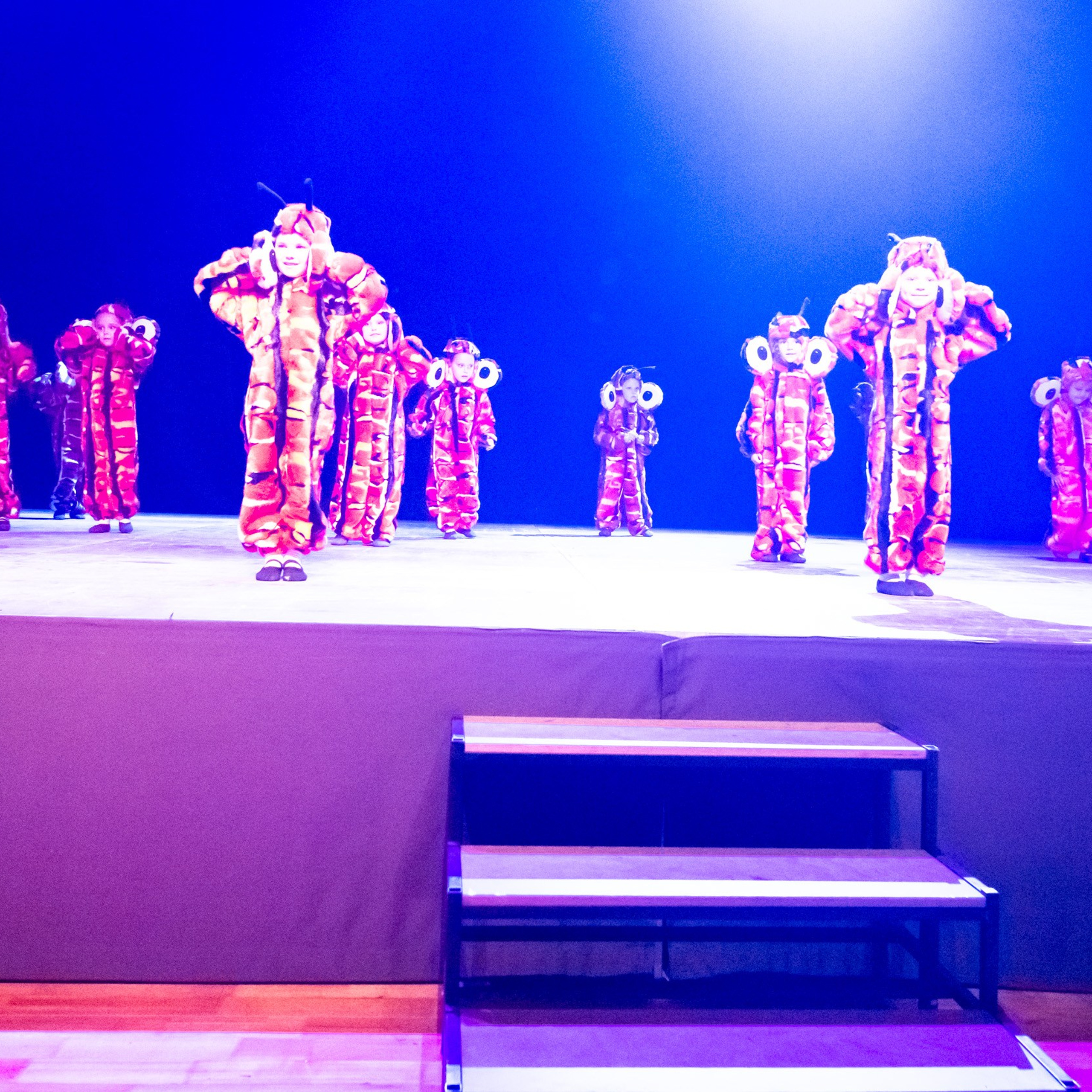 ИЮЛЬ 2019. Взгляд через объектив