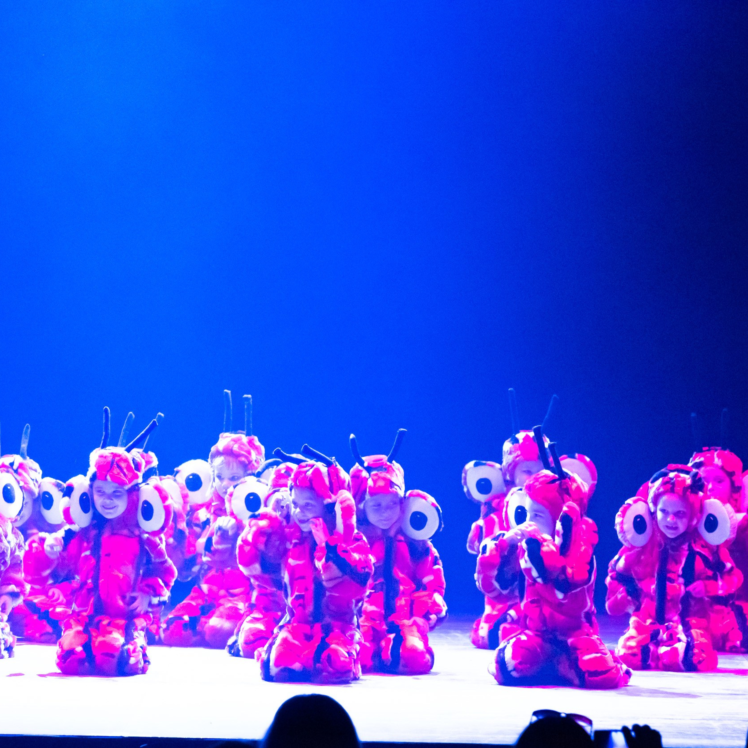 ИЮЛЬ 2019. Взгляд через объектив