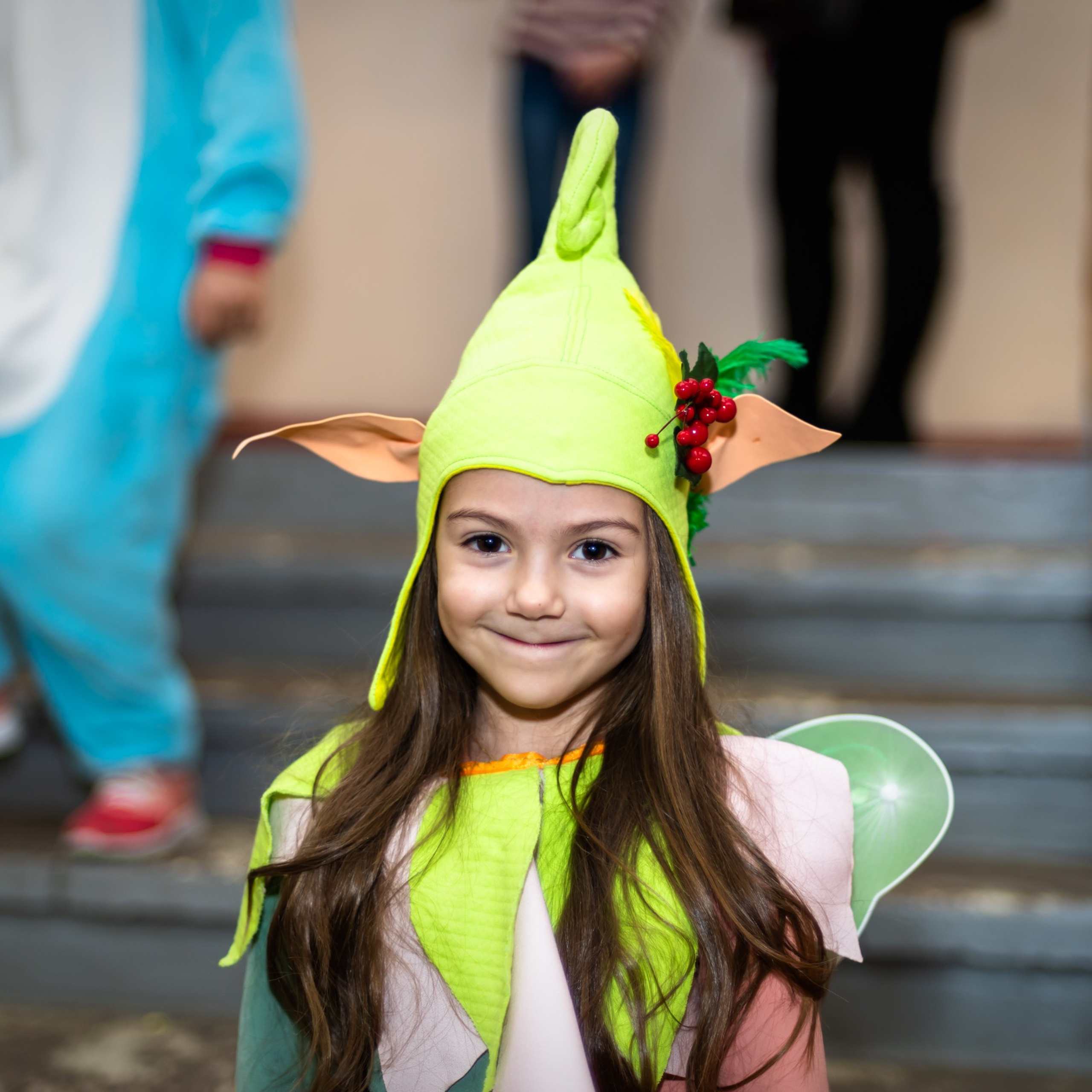 ДЕКАБРЬ 2018 (Новый Год). Взгляд через объектив