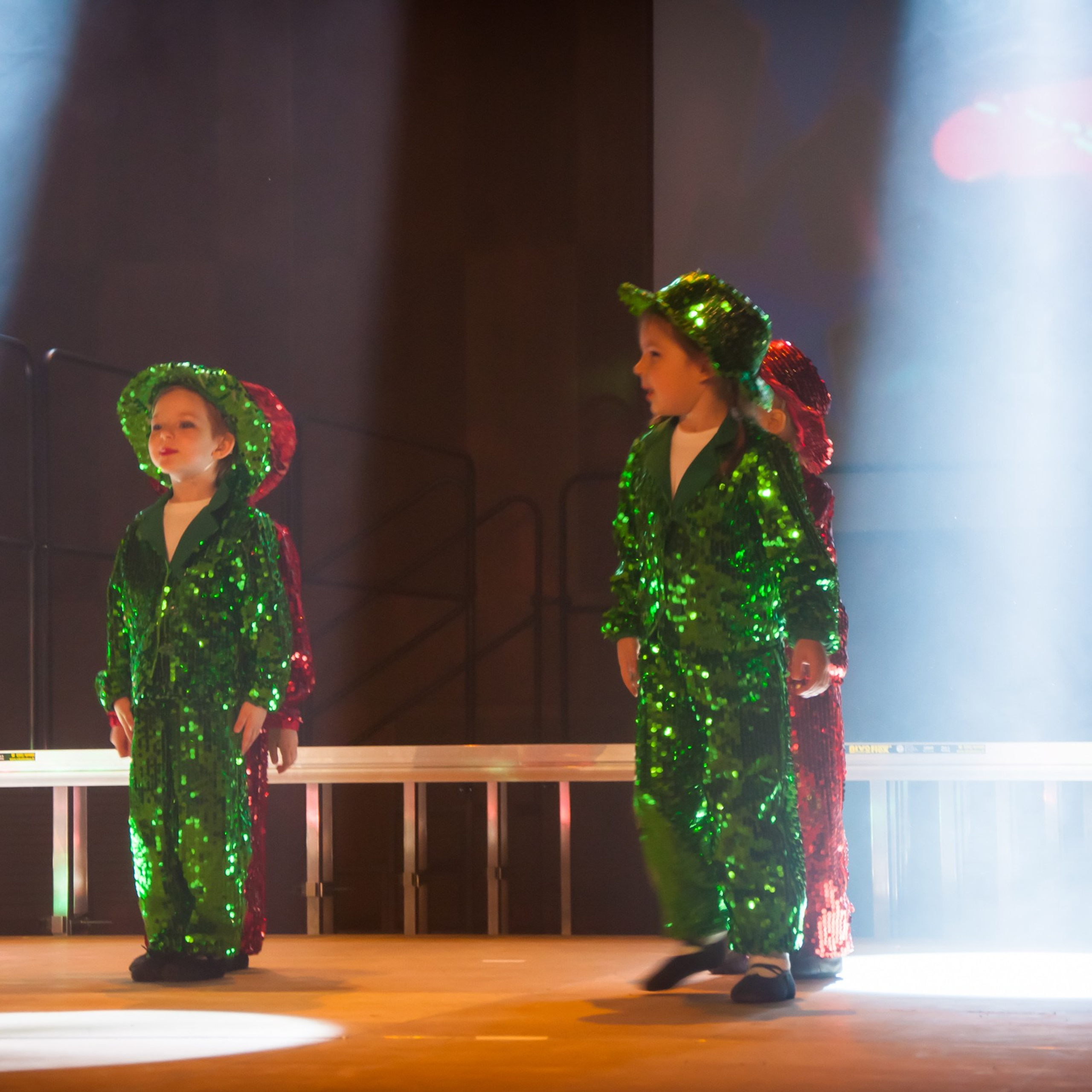 ИЮНЬ 2017 (Концерт + Мятлево). Взгляд через объектив