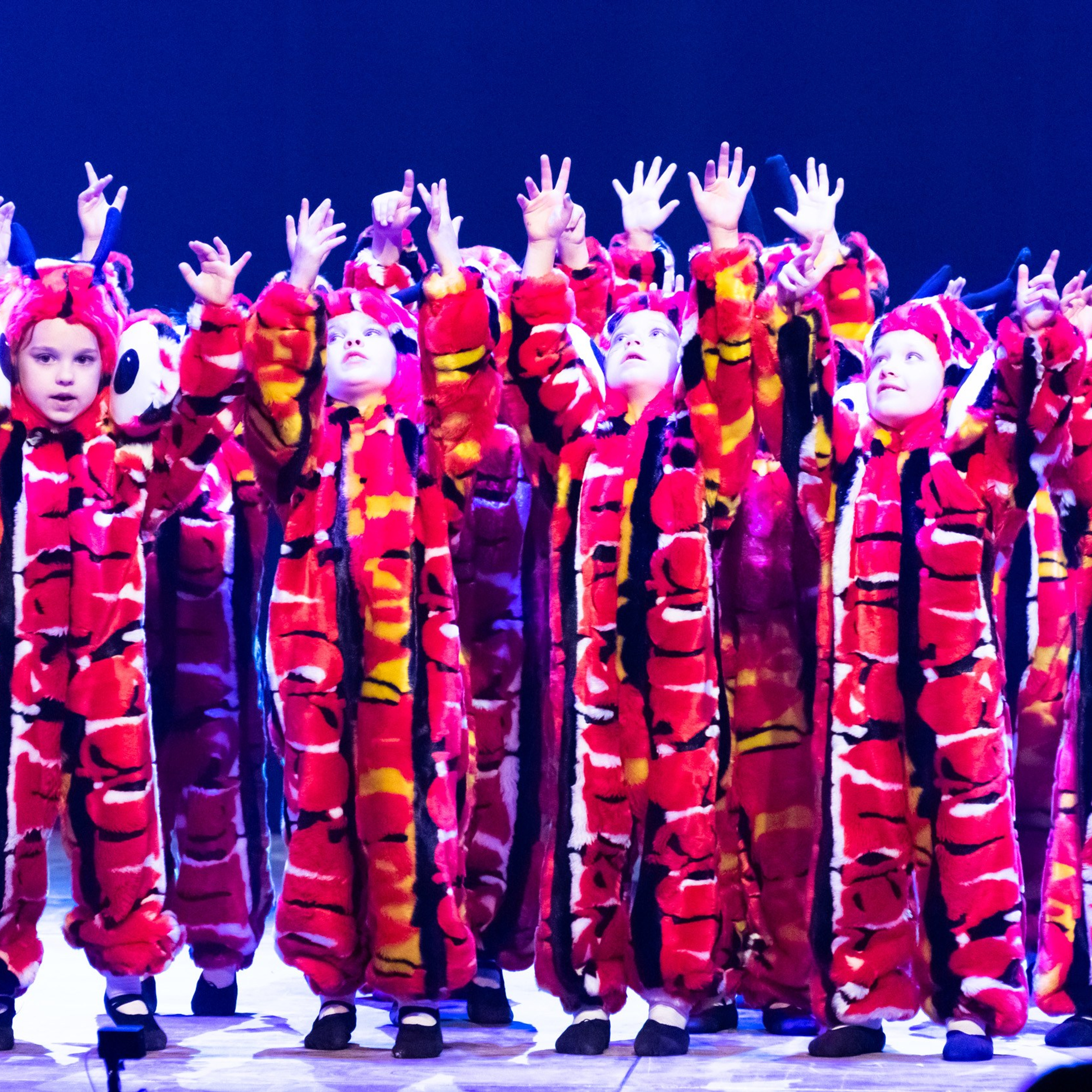 ИЮЛЬ 2019. Взгляд через объектив