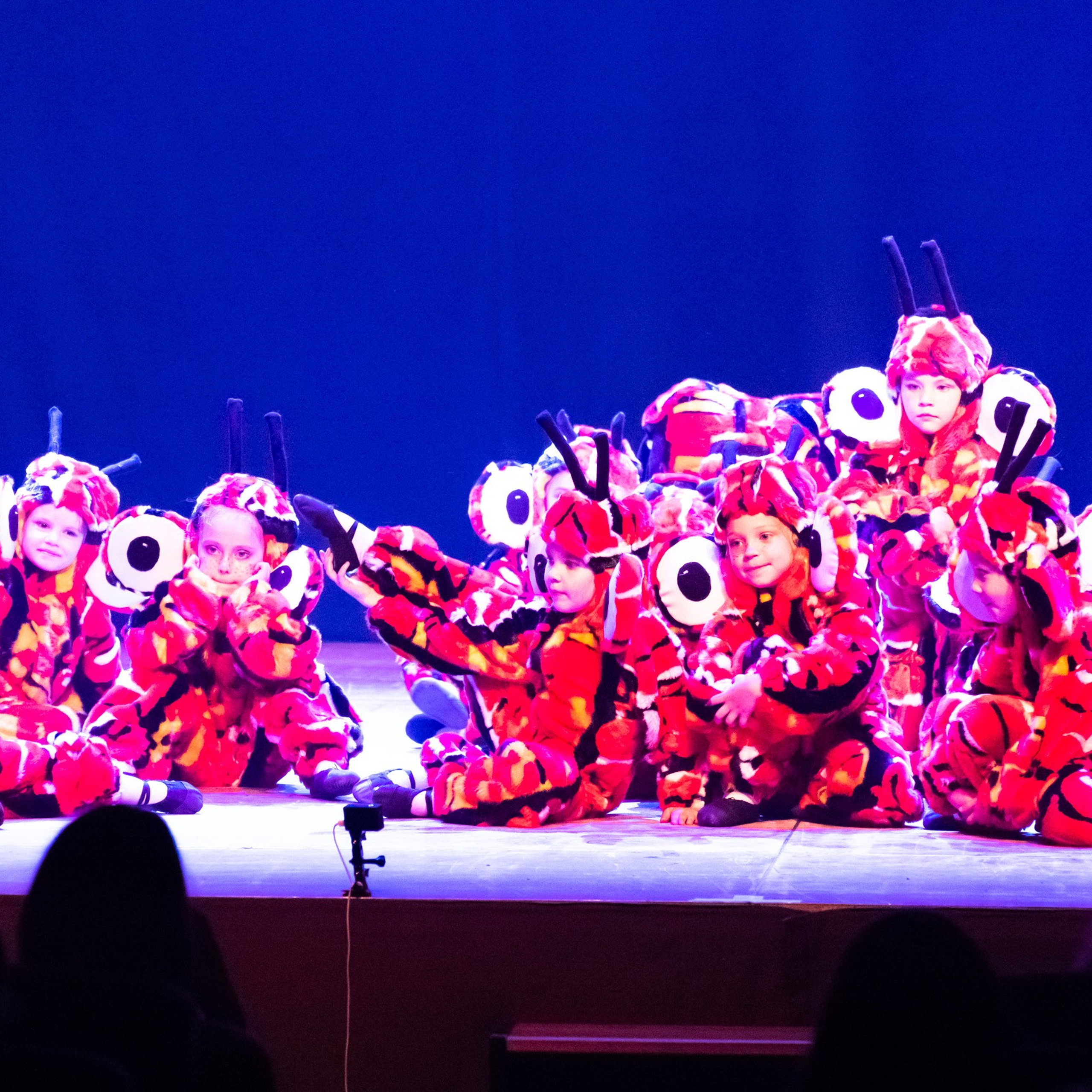 ИЮЛЬ 2019. Взгляд через объектив