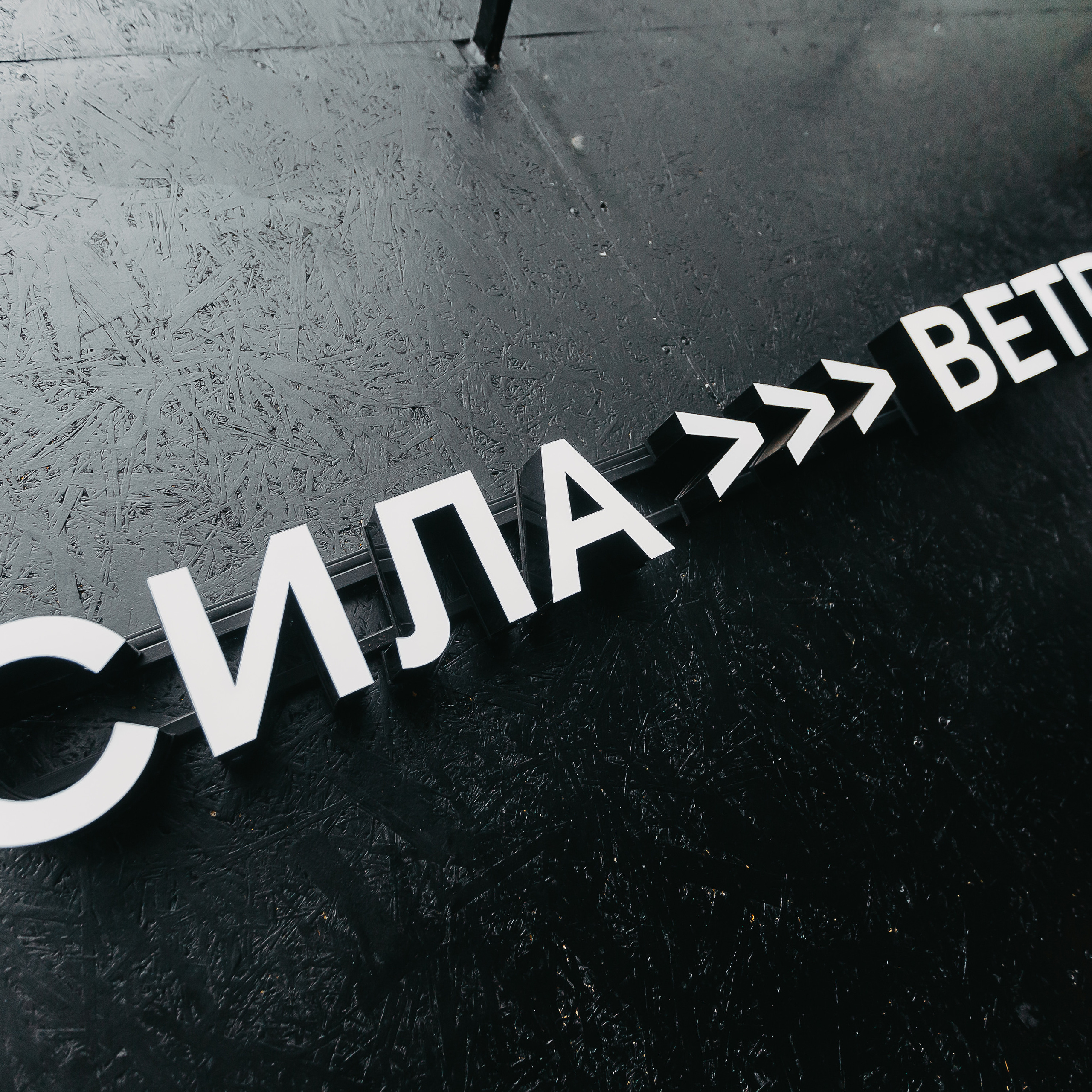 Отзывы. Репортажный и свадебный фотограф Ярославль, Москва Сдобников Андрей