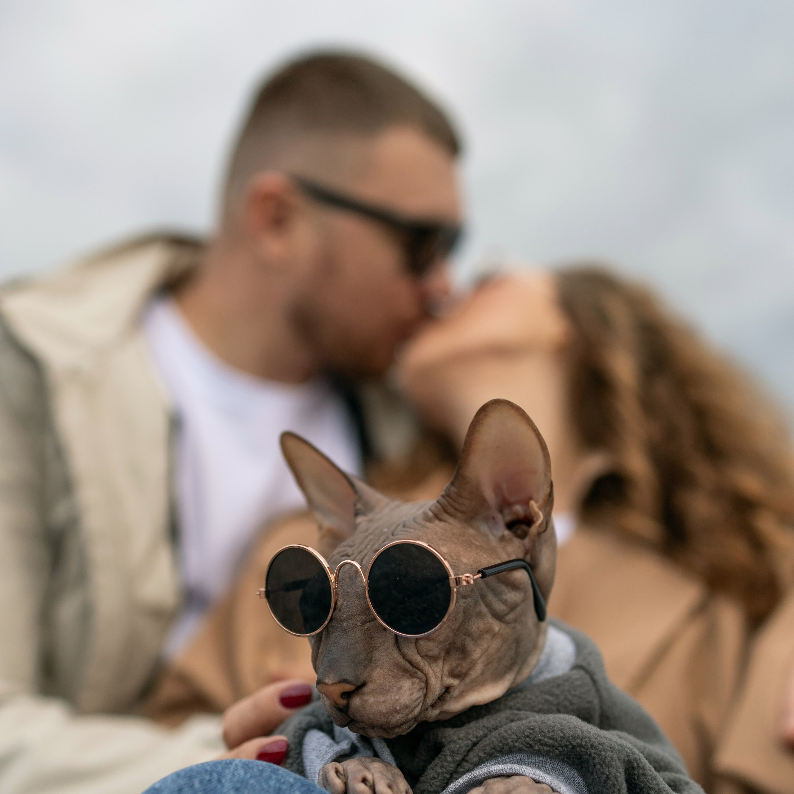 Пётр, Мария и кот Рич