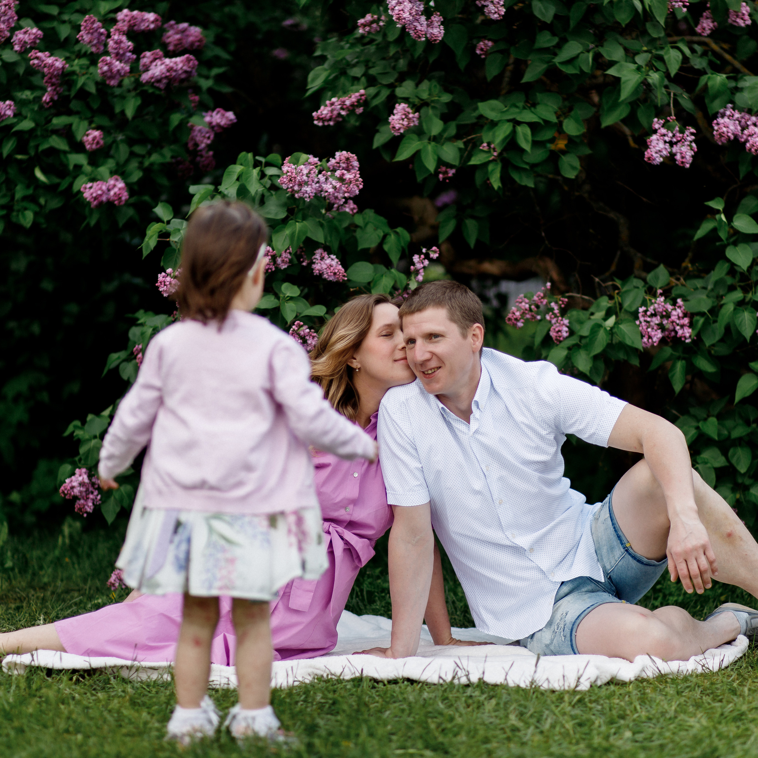 Сиреневый сад