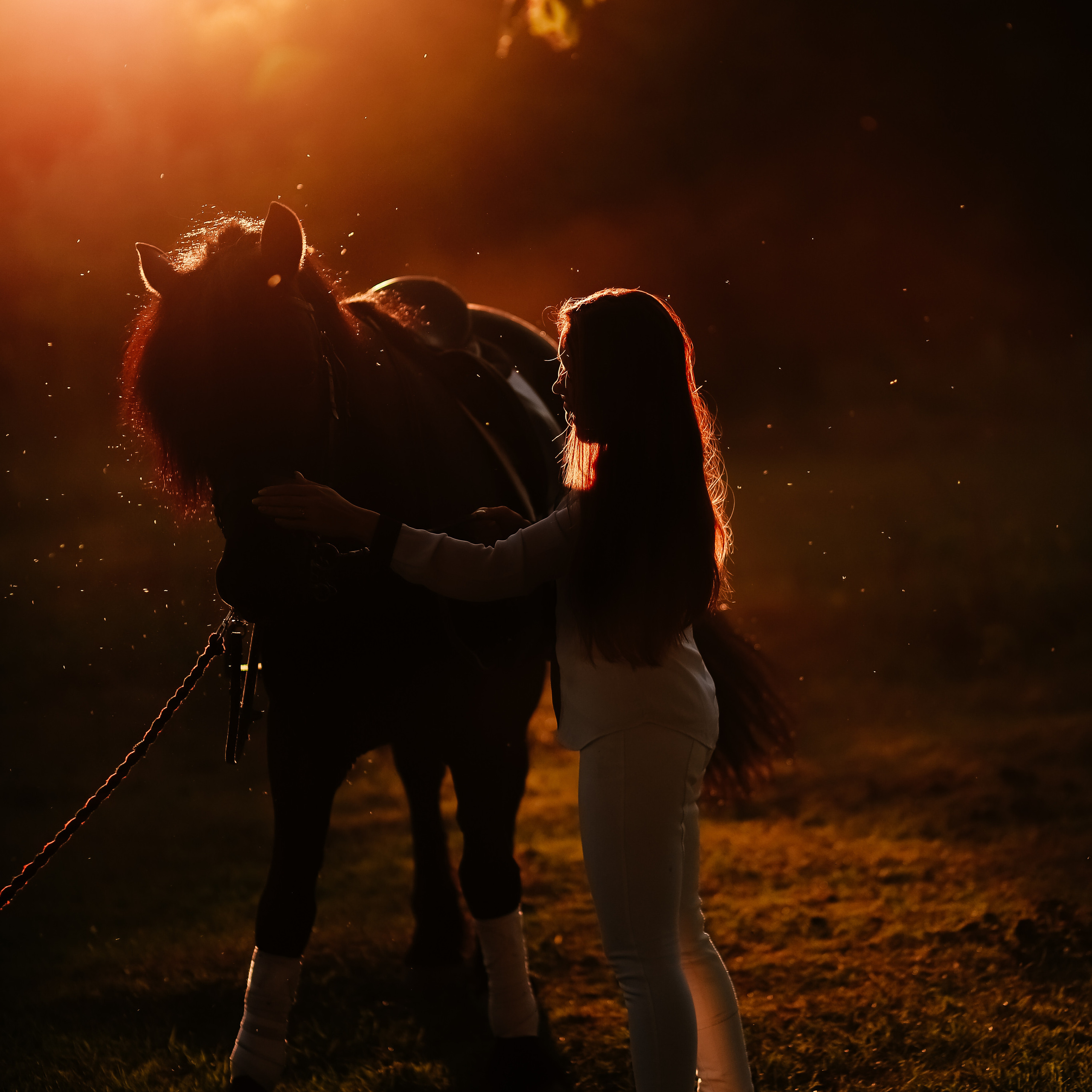 Ильсия и конь