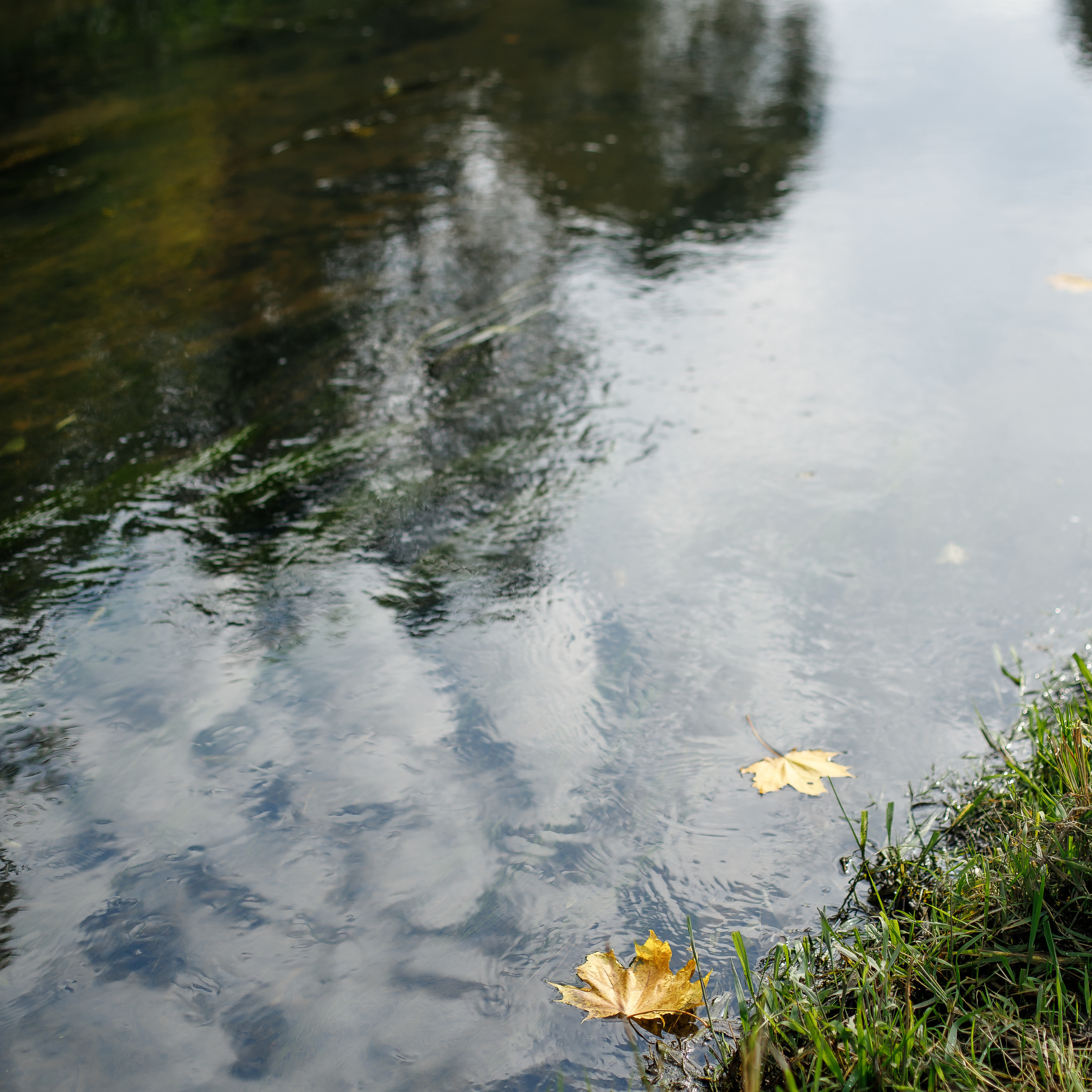 Золотая осень 2022