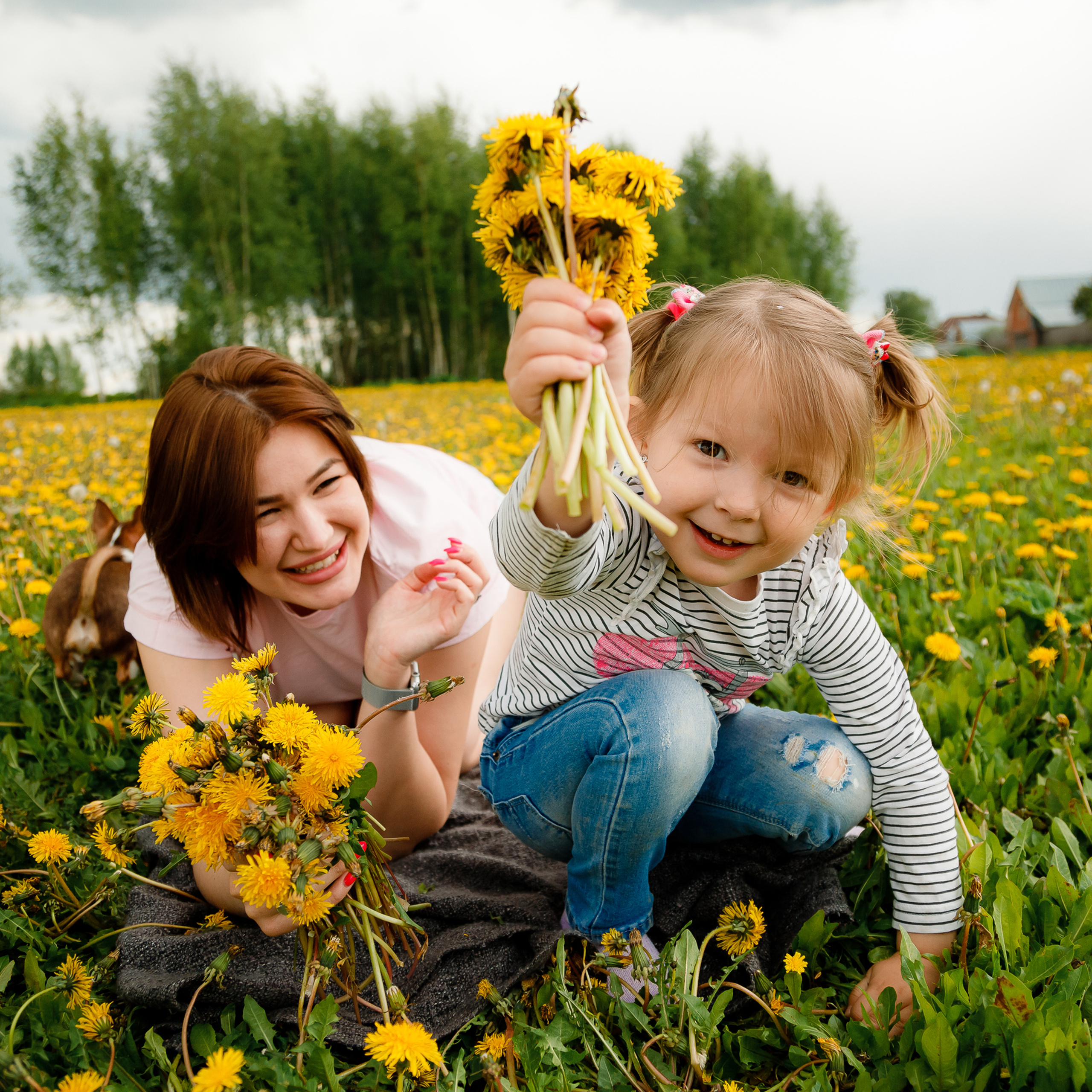 Семейная съемка в одуванчиках