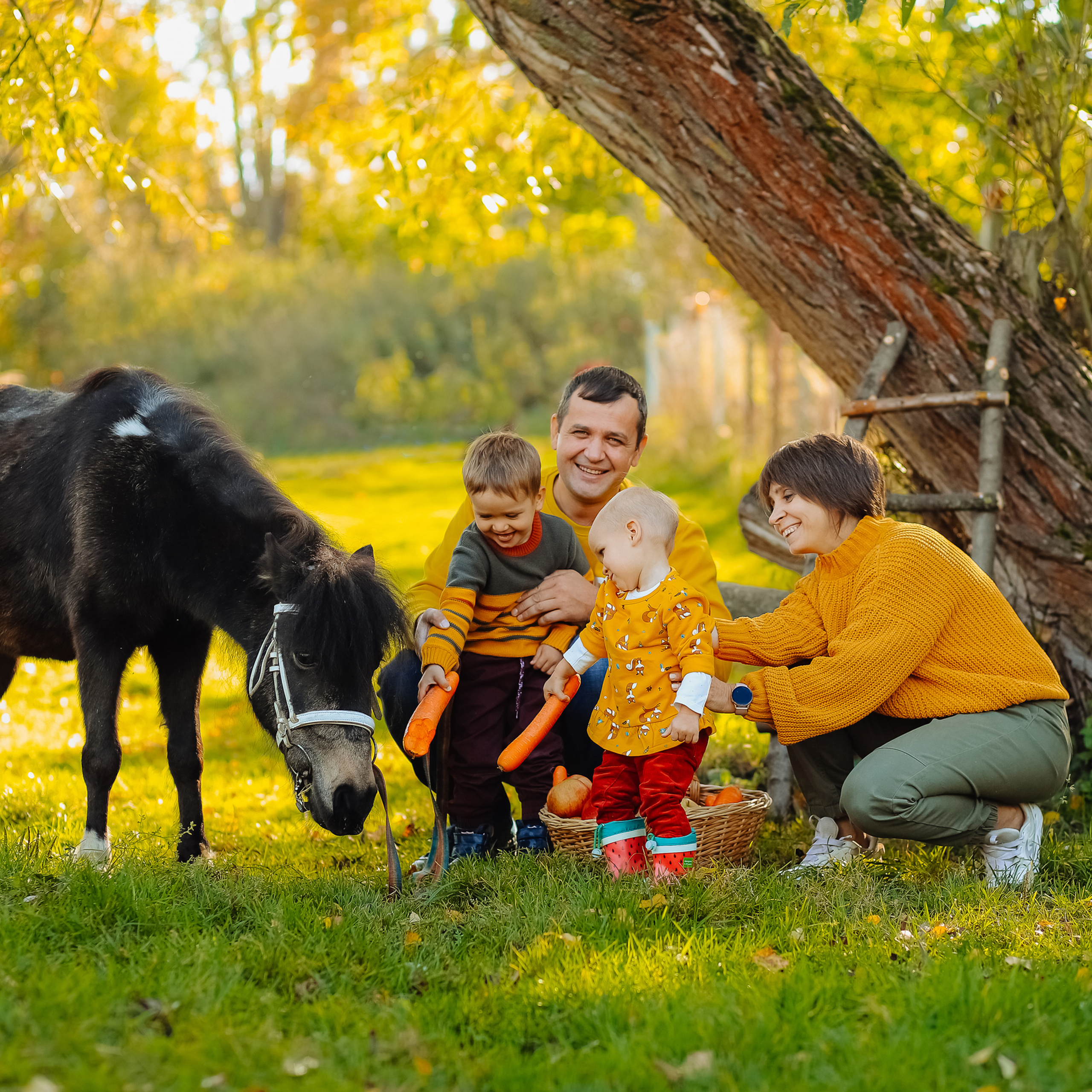 Утро на ферме