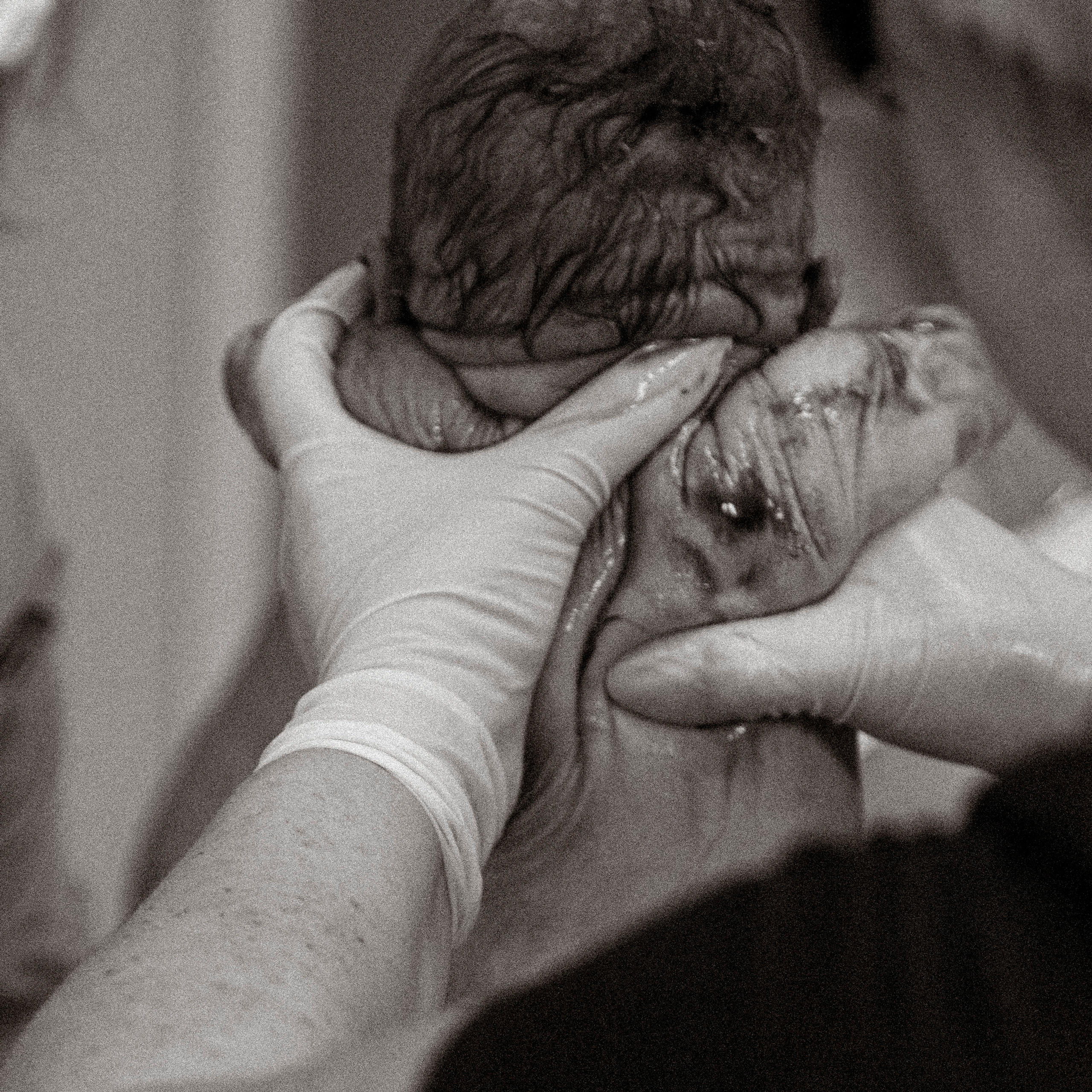 так рождается счастье