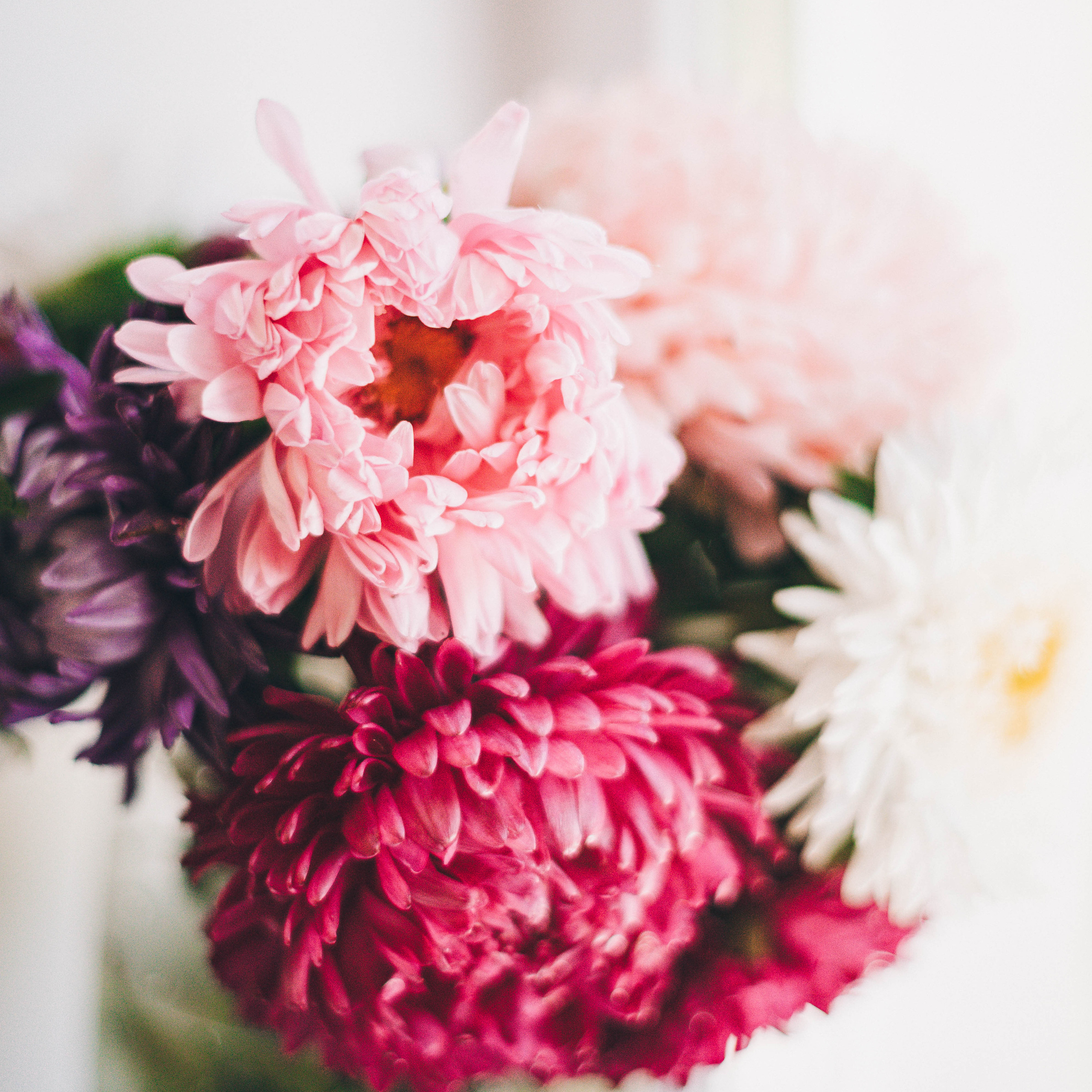 Отзывы. Семейный фотограф в Санкт-Петербурге Ира Ревчук