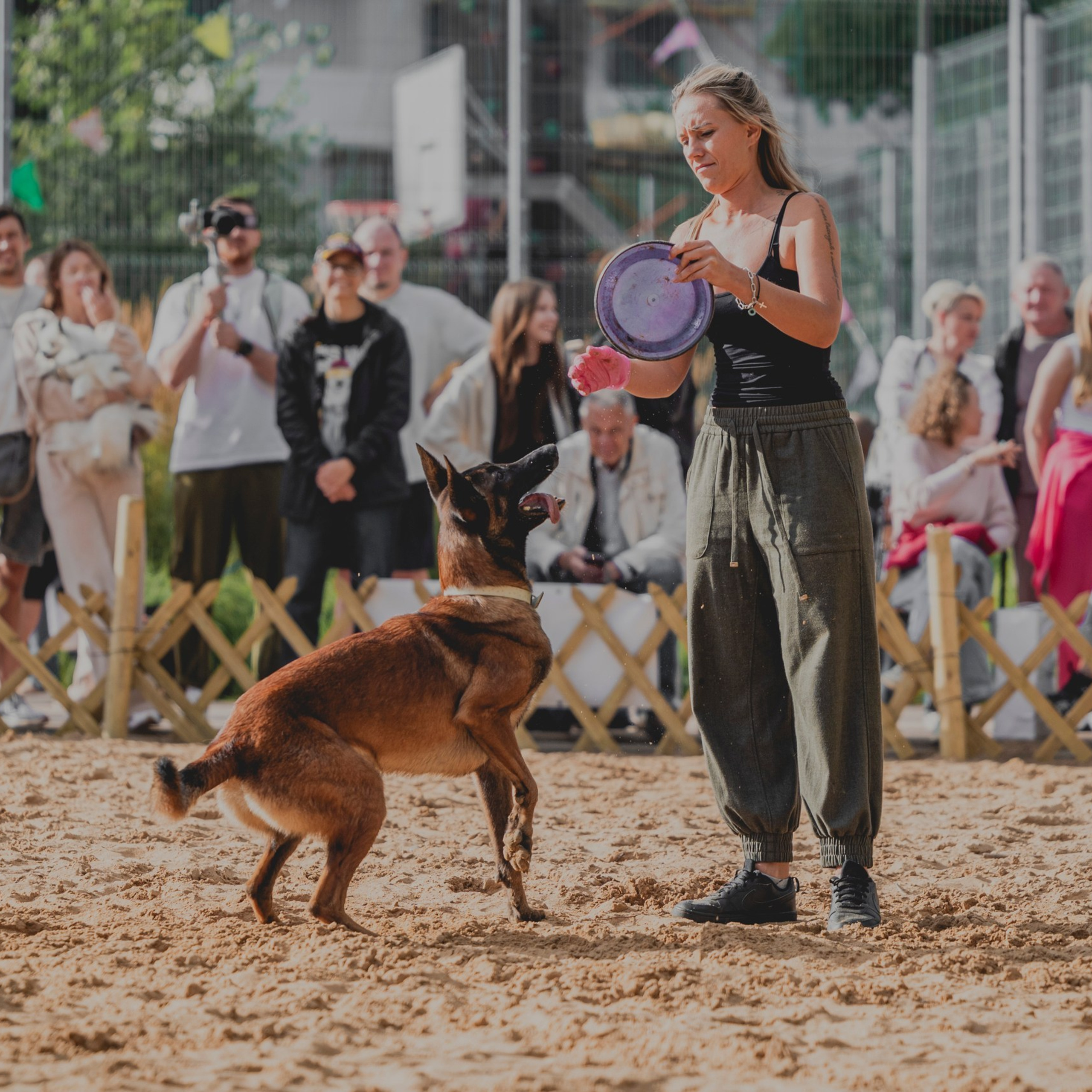 Pets Fest 08.08.2026. Фотосессия собак Минск, Борисов | Фотограф-анималист Арина RISHELL PHOTO