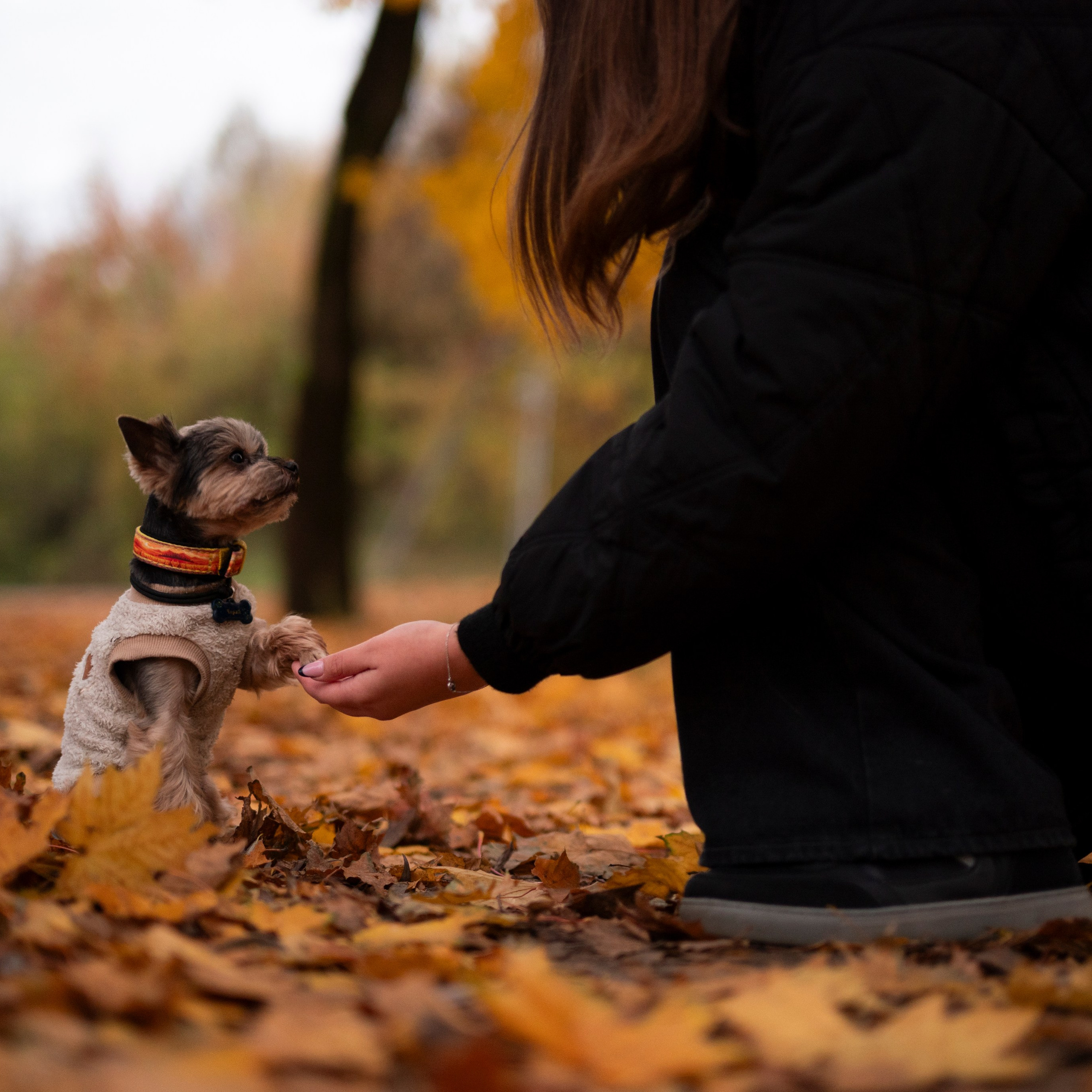 Чарли&nbsp;— Октябрь 2025&nbsp;— Борисов