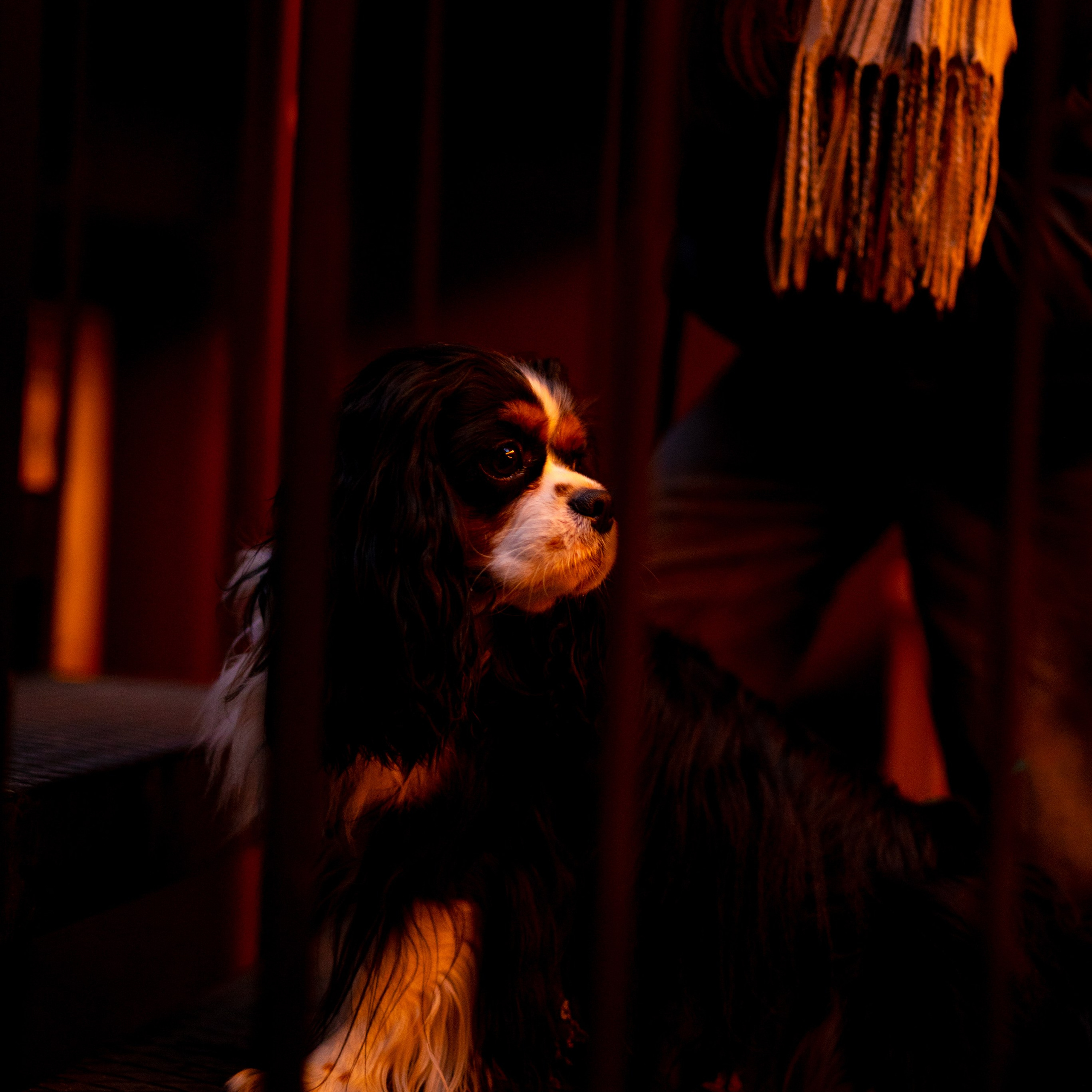 Арни&nbsp;— Минск&nbsp;— Ноябрь 2025