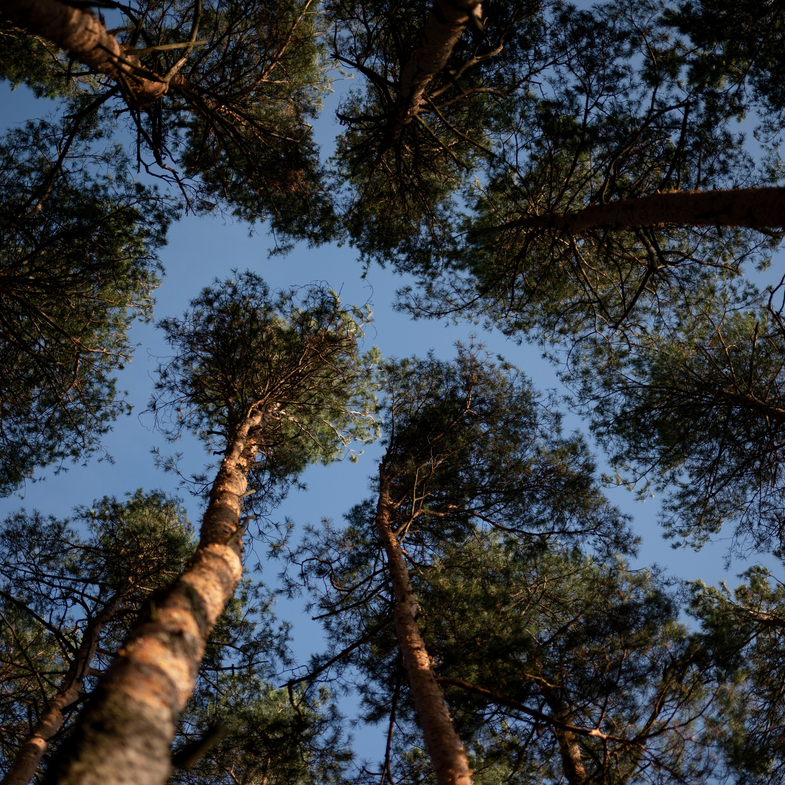 Мишель — Ноябрь 2025. Фотограф — анималист RISHELL PHOTO