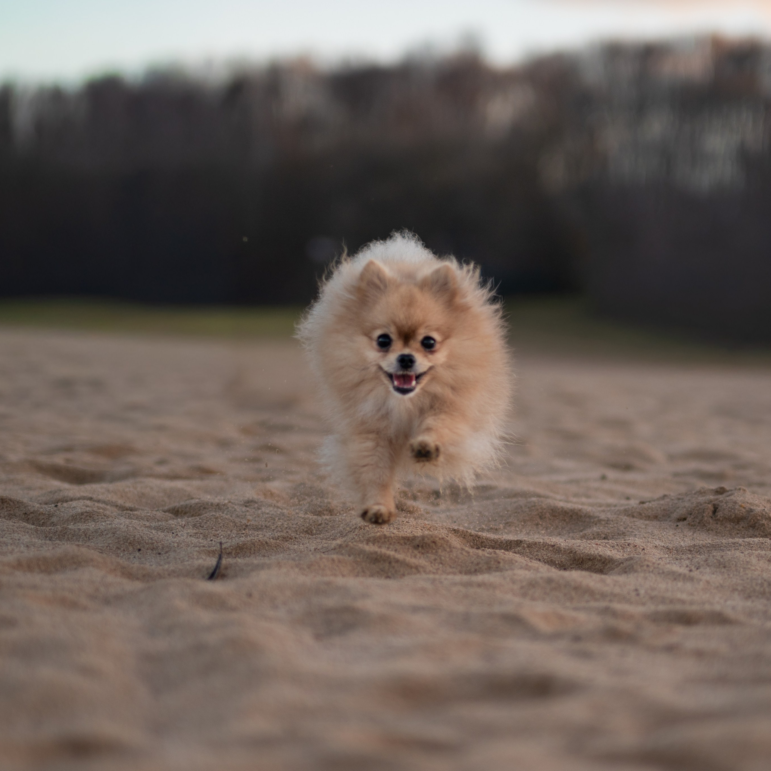 Еще один снимок  движения Мишель, запечатленного в динамичной серии .