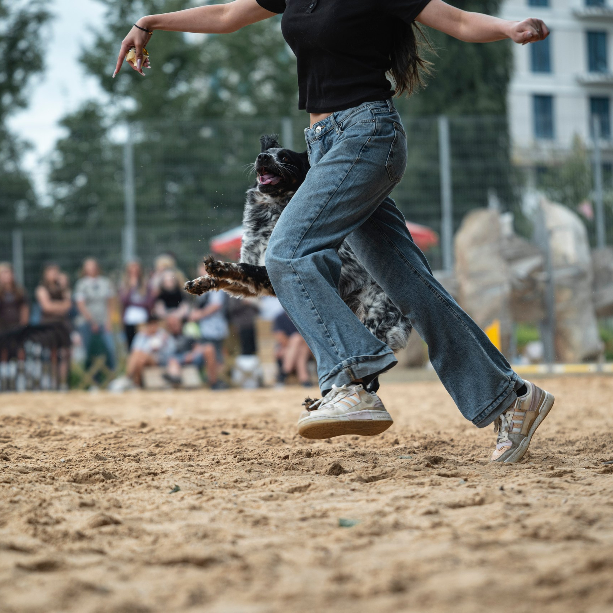 Pets Fest 08.08.2026. Фотосессия собак Минск, Борисов | Фотограф-анималист Арина RISHELL PHOTO