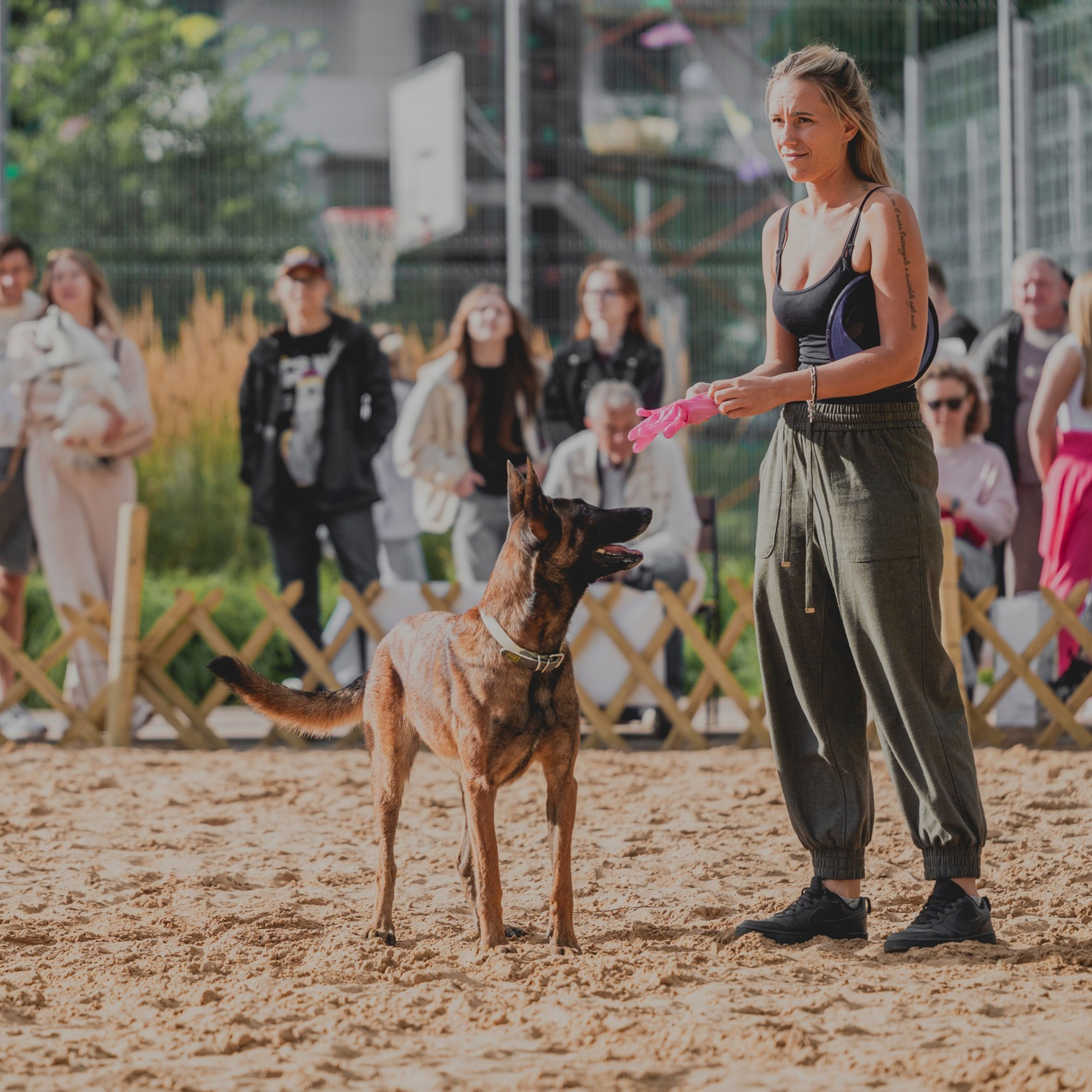 Pets Fest 08.08.2026. Фотосессия собак Минск, Борисов | Фотограф-анималист Арина RISHELL PHOTO