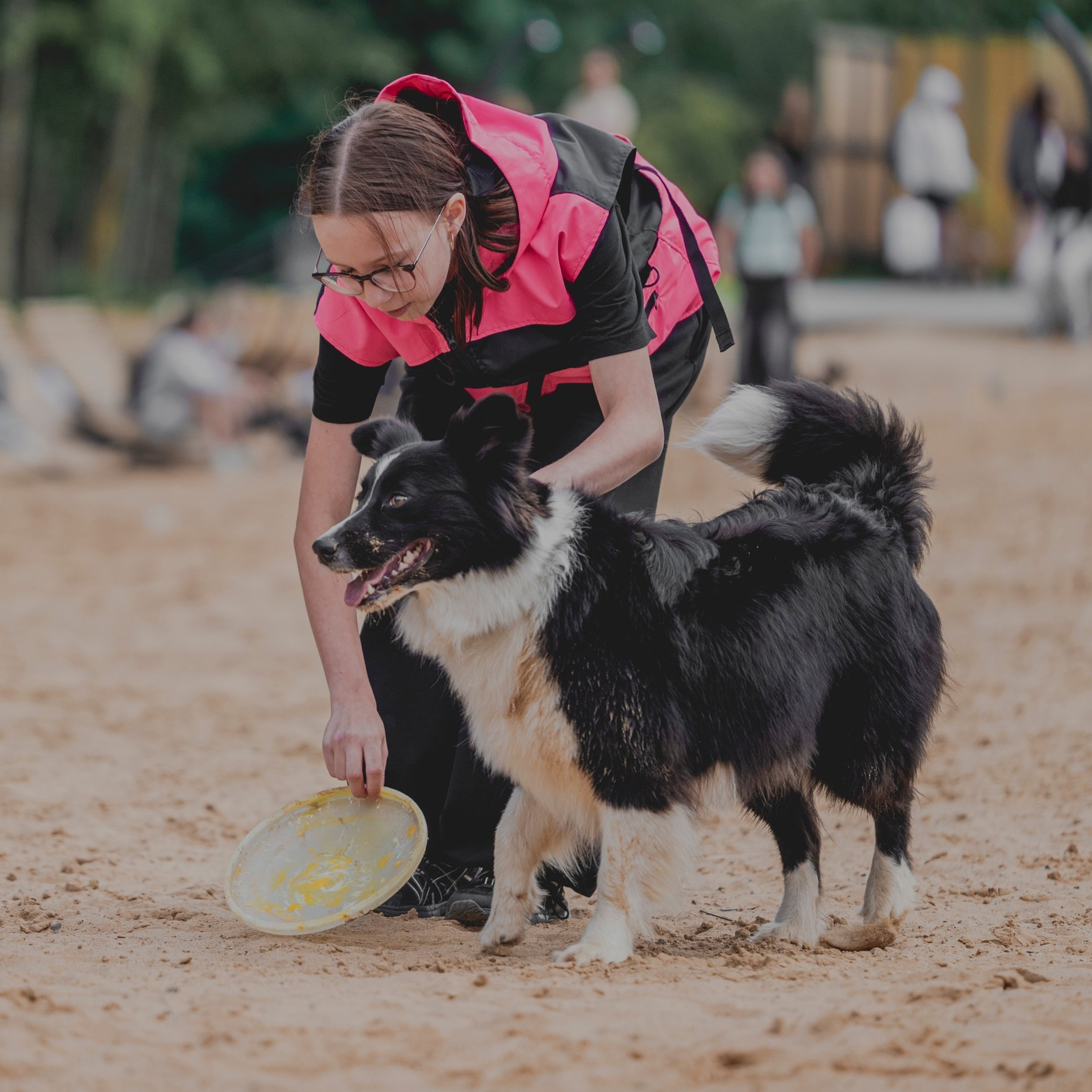 Pets Fest 08.08.2026. Фотосессия собак Минск, Борисов | Фотограф-анималист Арина RISHELL PHOTO