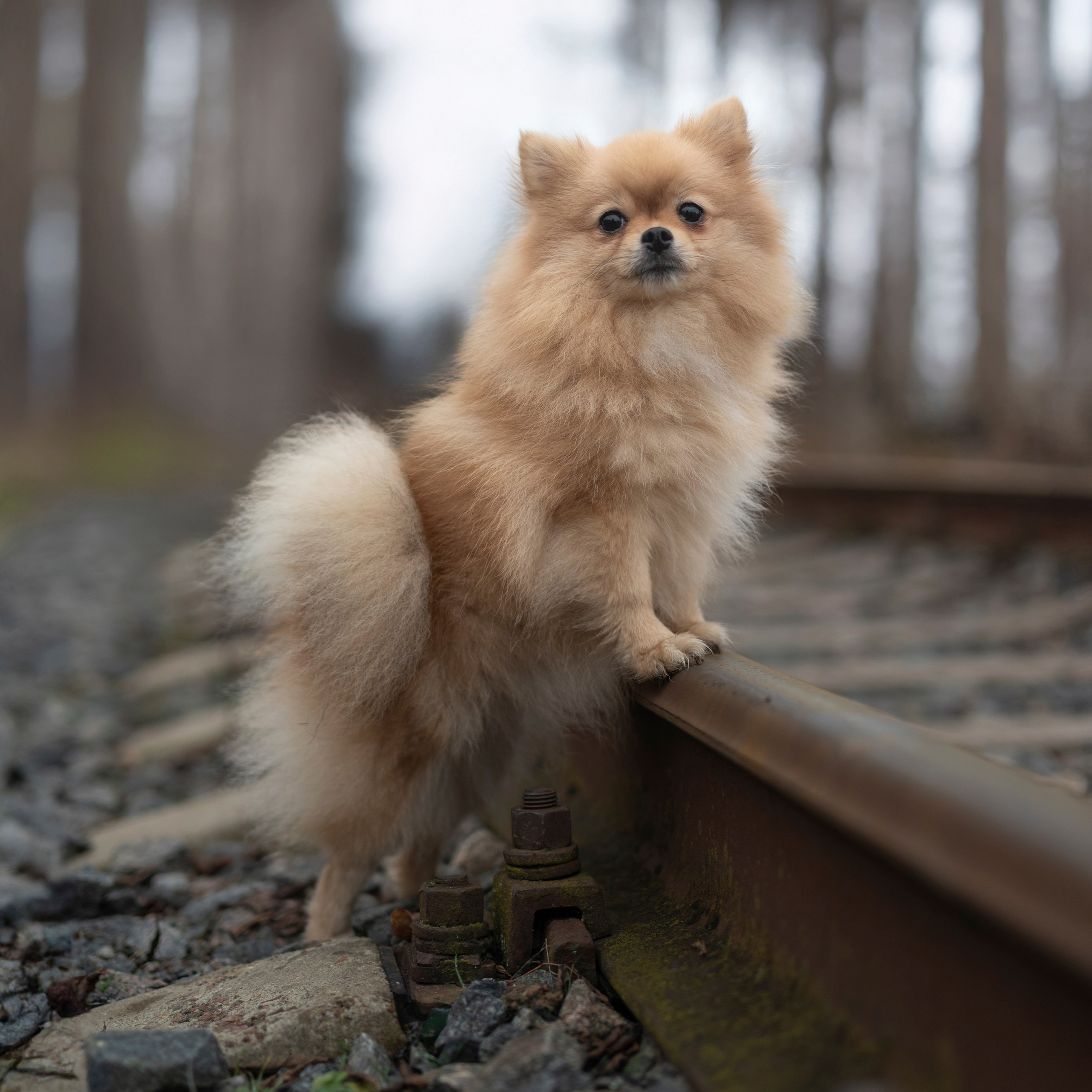 Миша&nbsp;— Декабрь 2025