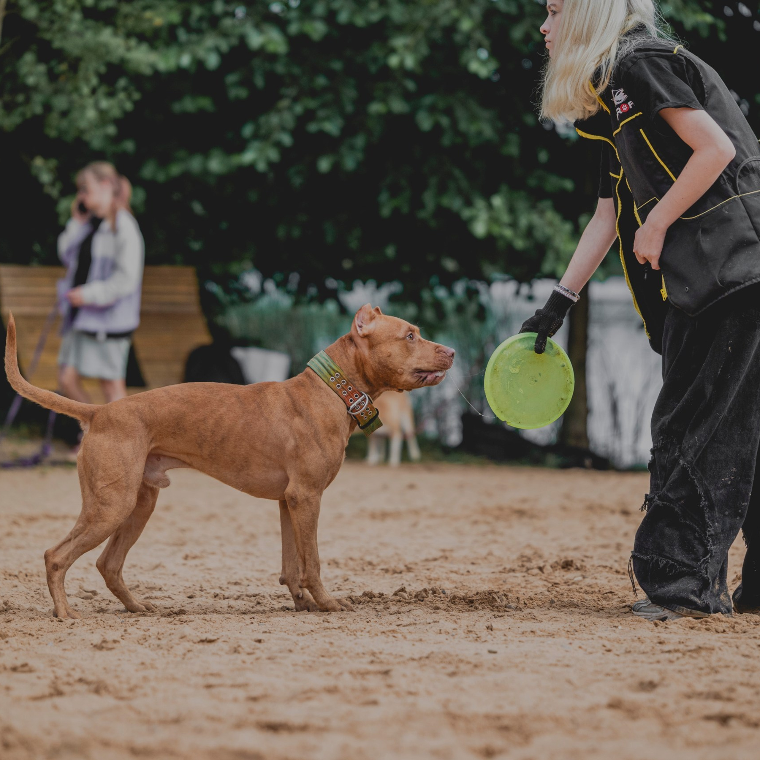Pets Fest 08.08.2026. Фотосессия собак Минск, Борисов | Фотограф-анималист Арина RISHELL PHOTO
