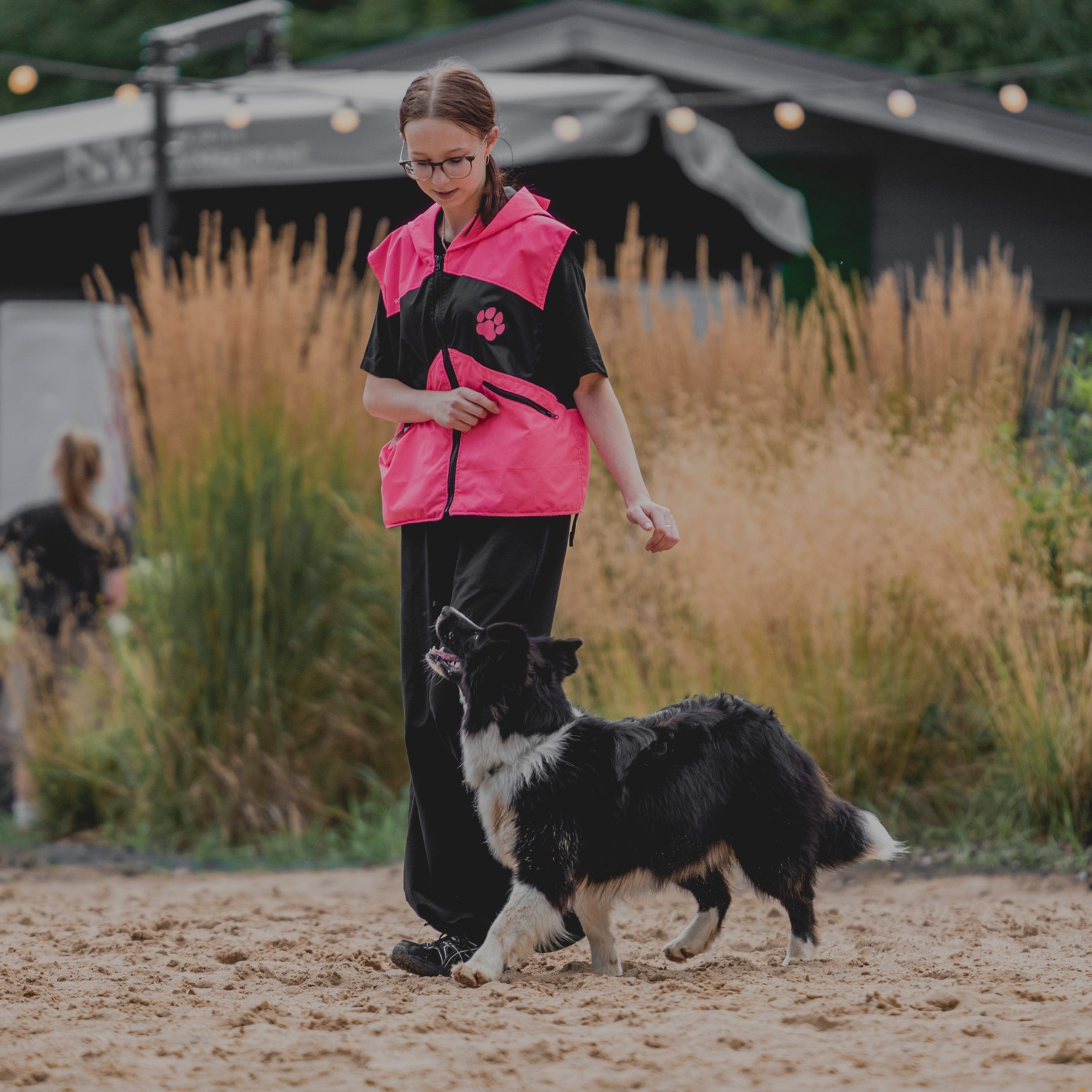 Pets Fest 08.08.2026. Фотосессия собак Минск, Борисов | Фотограф-анималист Арина RISHELL PHOTO