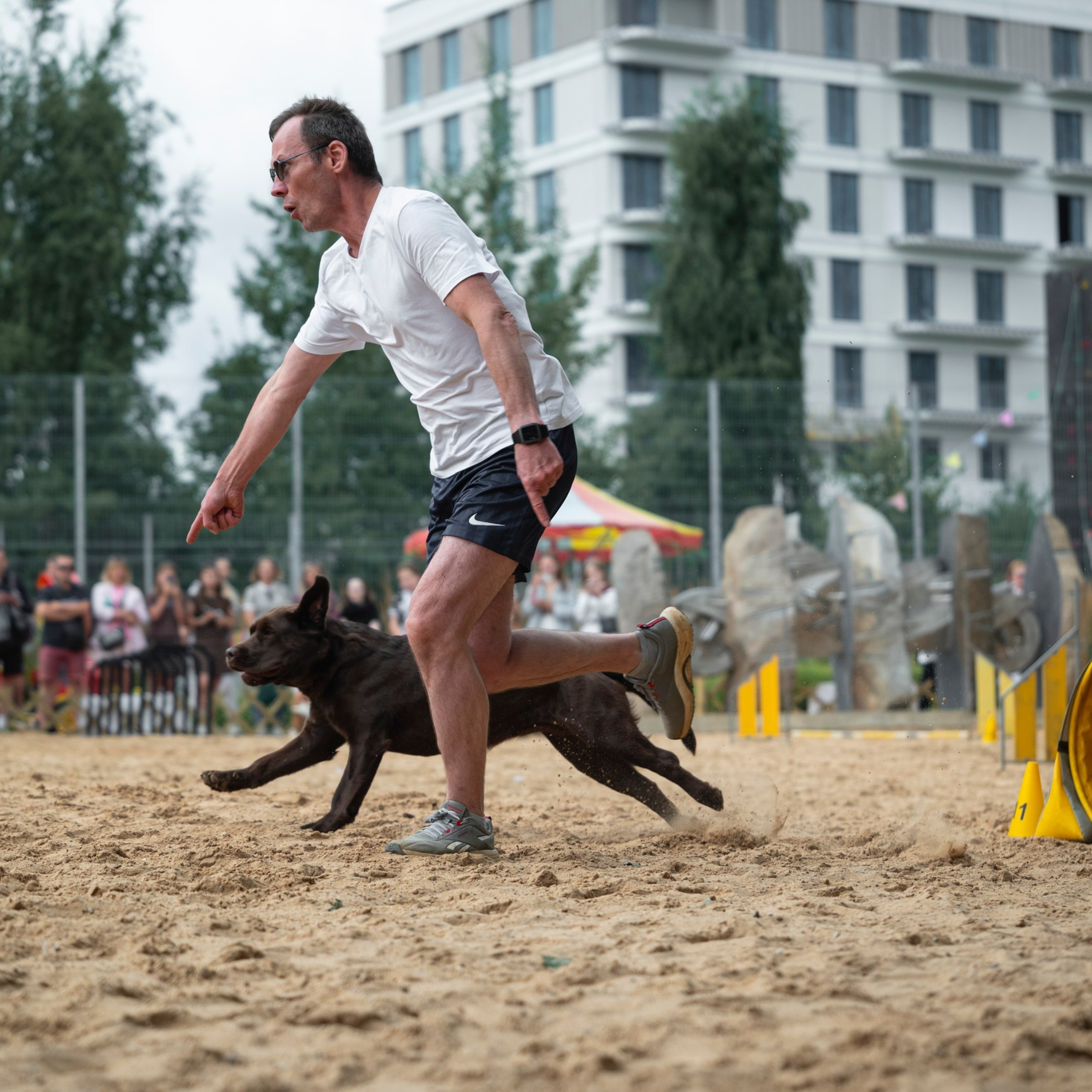 Pets Fest 08.08.2026. Фотосессия собак Минск, Борисов | Фотограф-анималист Арина RISHELL PHOTO