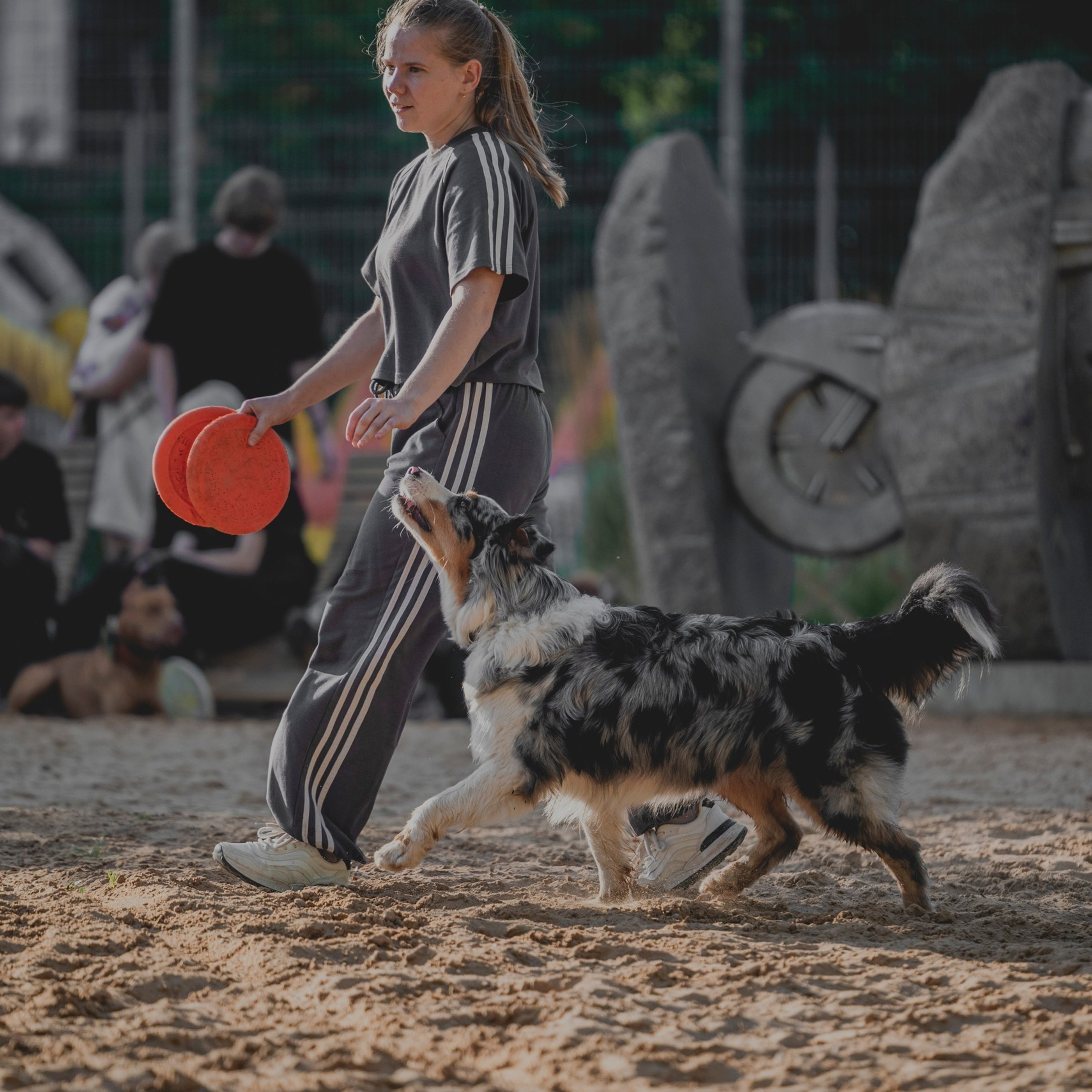 Pets Fest 08.08.2026. Фотосессия собак Минск, Борисов | Фотограф-анималист Арина RISHELL PHOTO