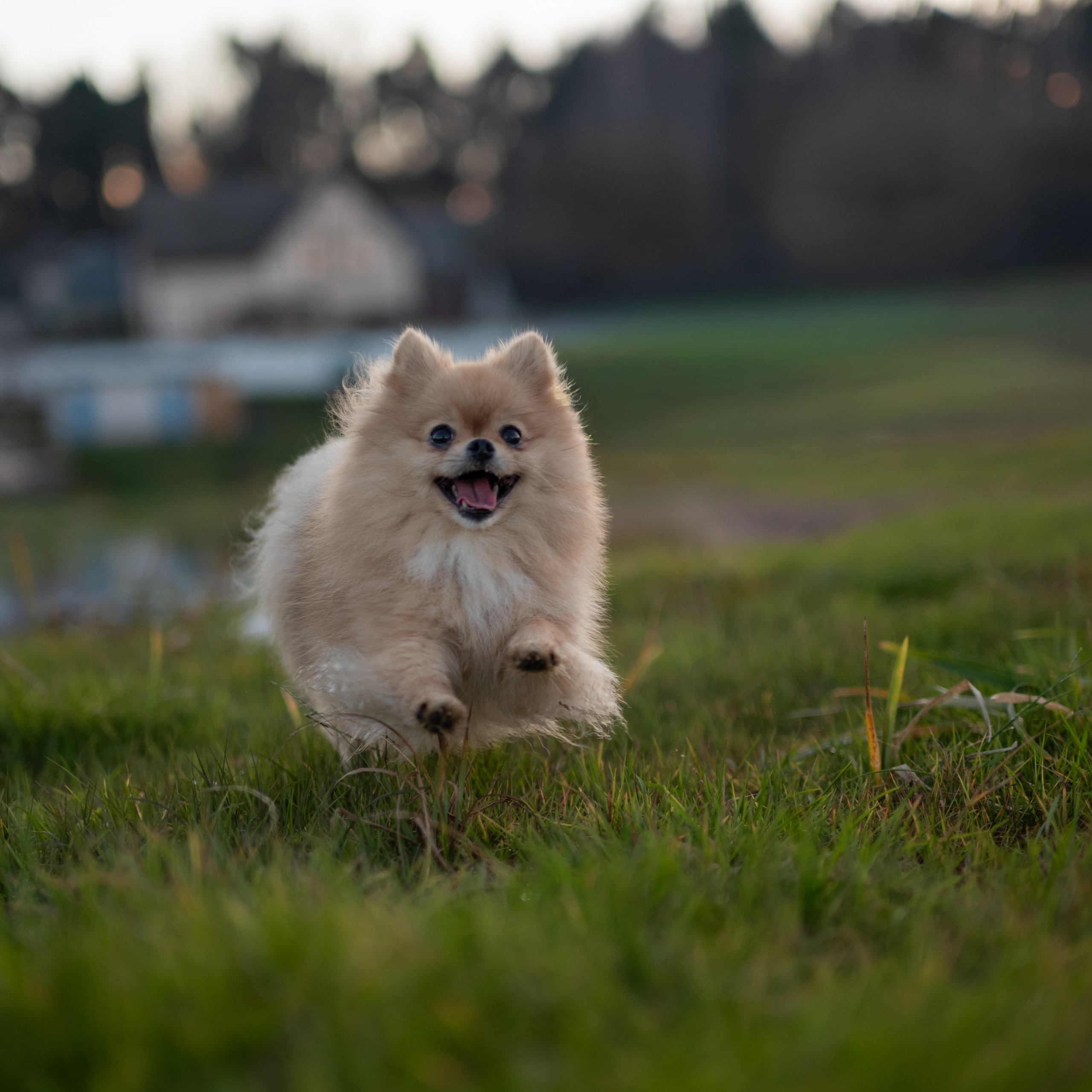 Почувствуйте элегантность каждого движения Мишель, запечатленного в динамичной серии фотографий.