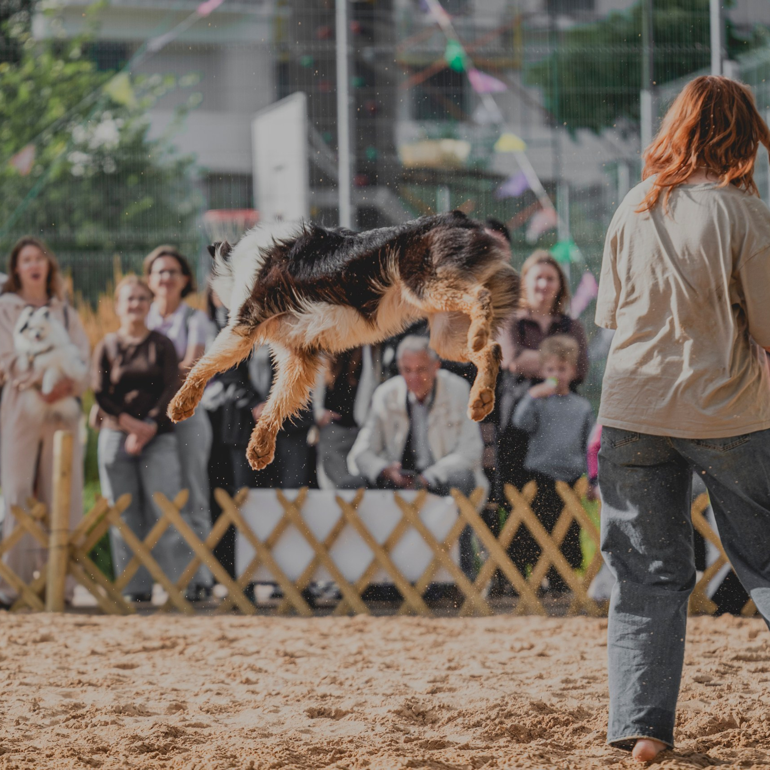 Pets Fest 08.08.2026. Фотосессия собак Минск, Борисов | Фотограф-анималист Арина RISHELL PHOTO