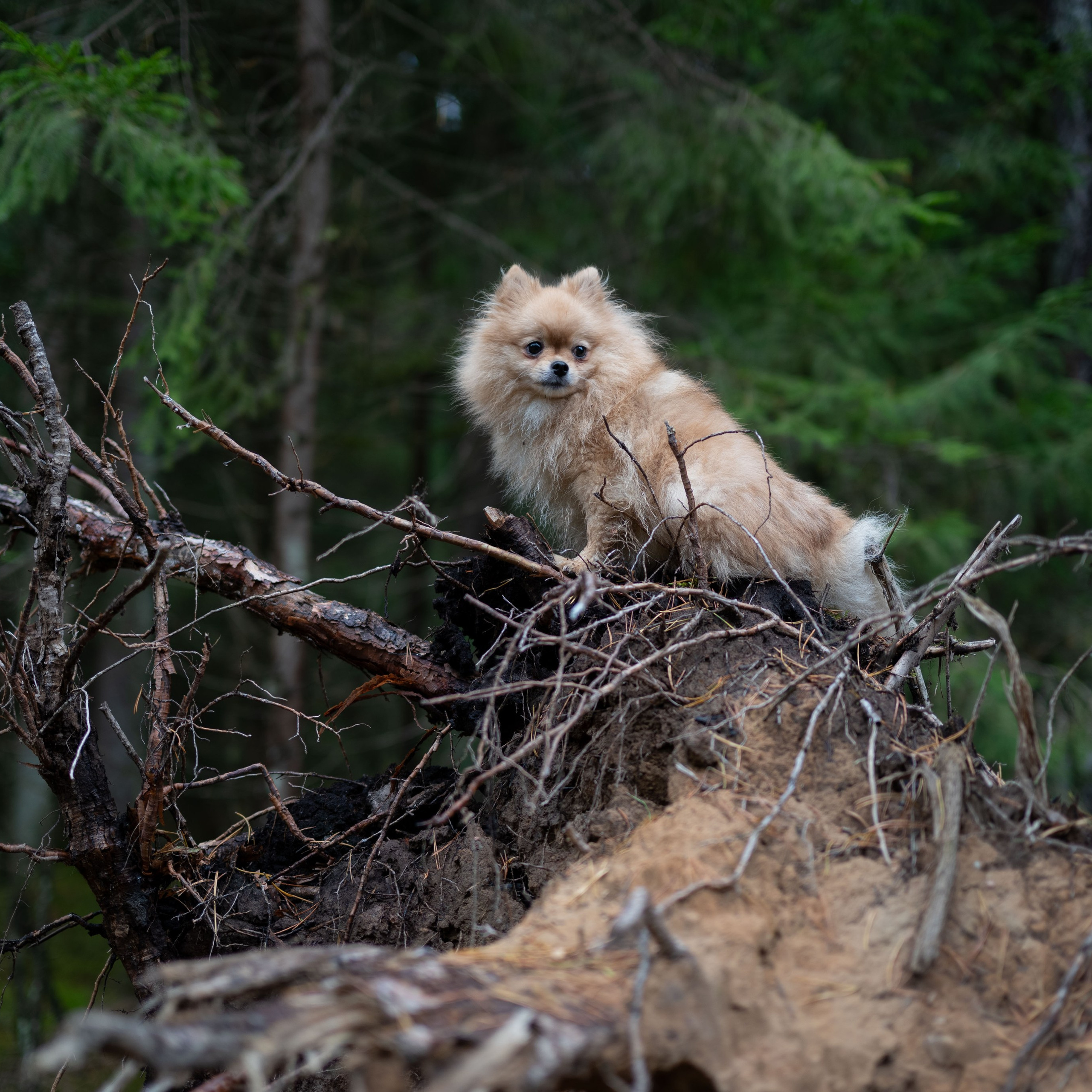 МИШЕЛЬ&nbsp;— Октябрь 2025