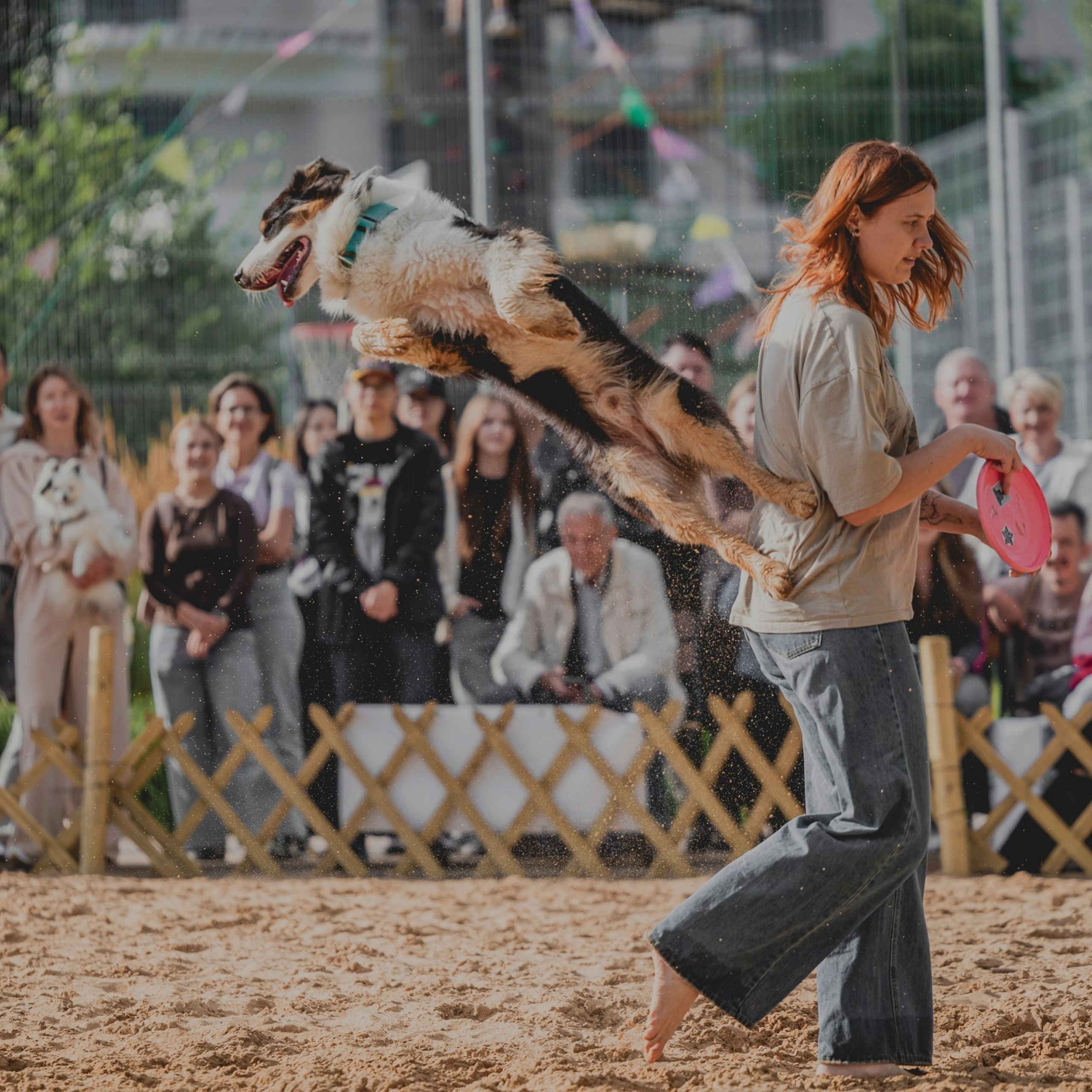 Pets Fest 08.08.2026. Фотосессия собак Минск, Борисов | Фотограф-анималист Арина RISHELL PHOTO