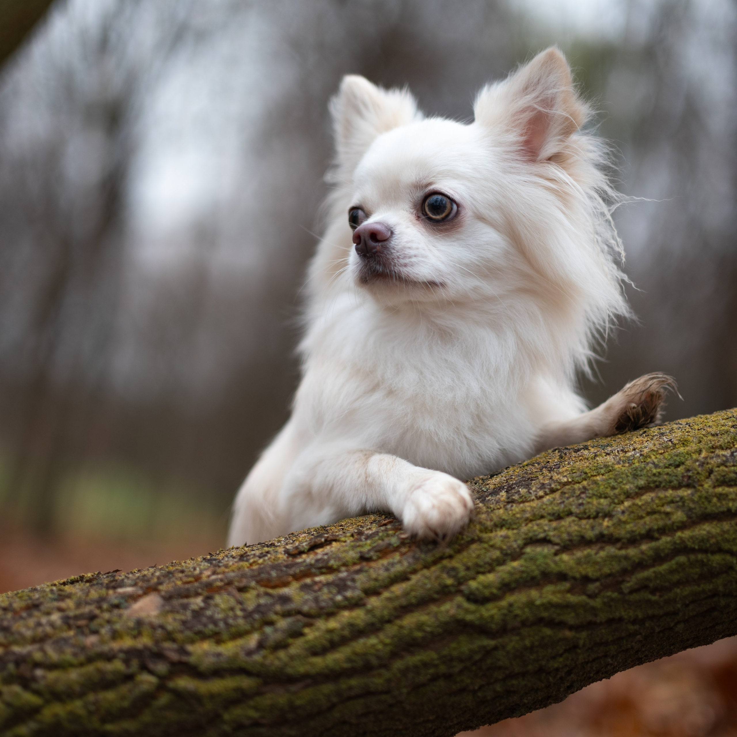 Юкон&nbsp;— Минск&nbsp;— Ноябрь 2025